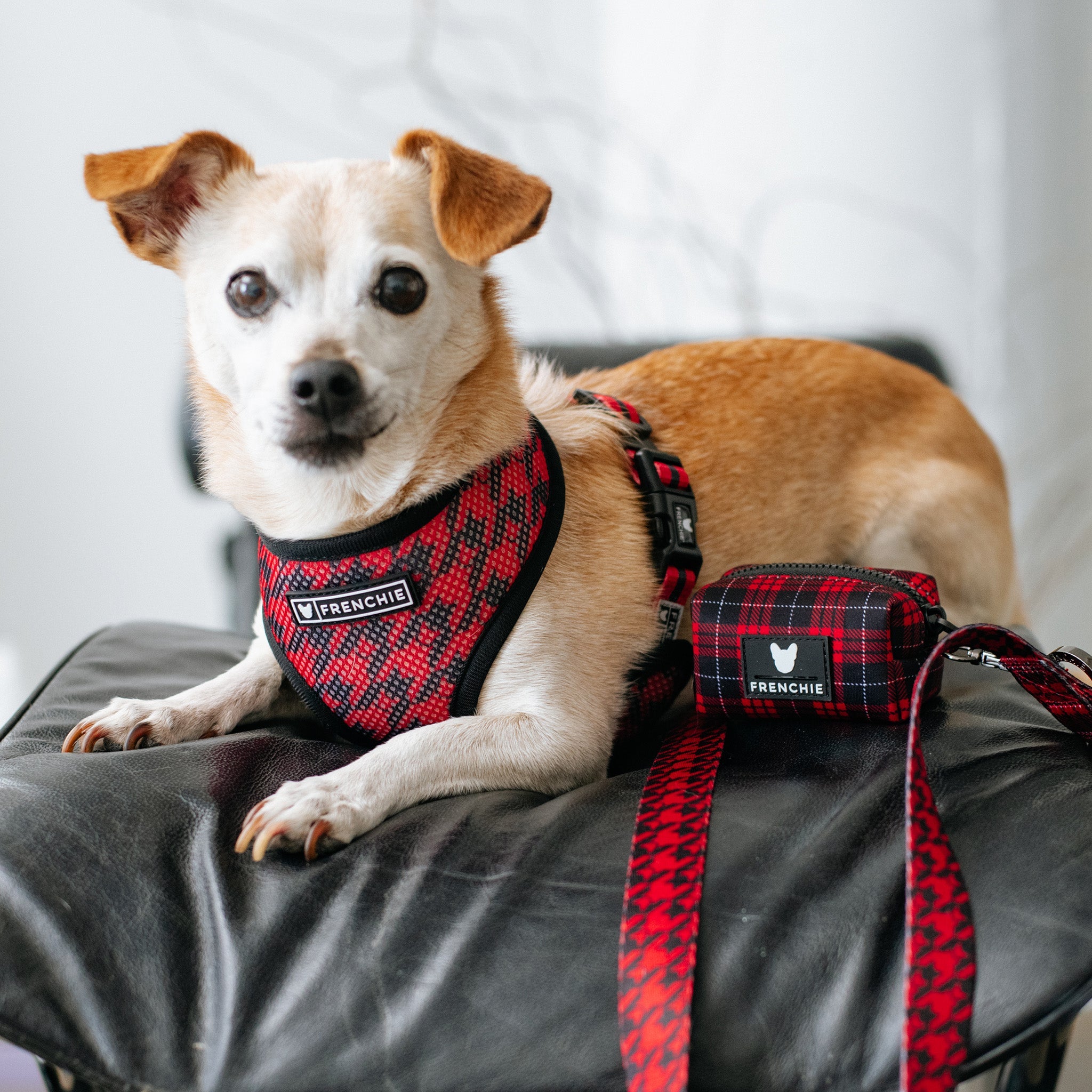 Frenchie Poo Bag Holder - Red Tartan