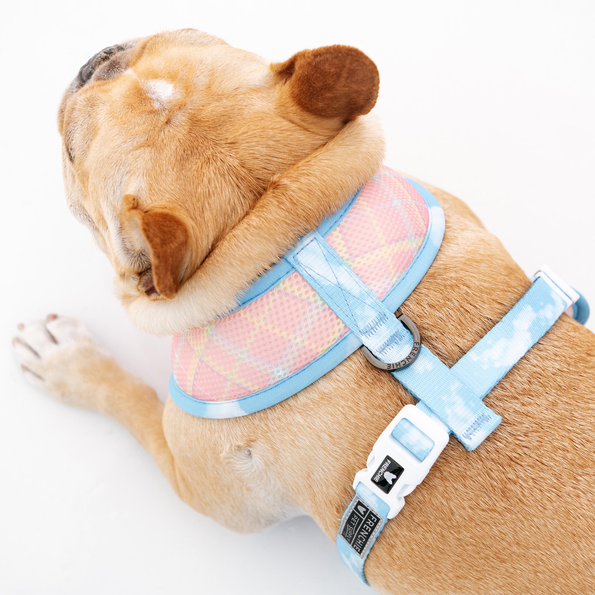 Frenchie Duo Reversible Harness - Secret Garden