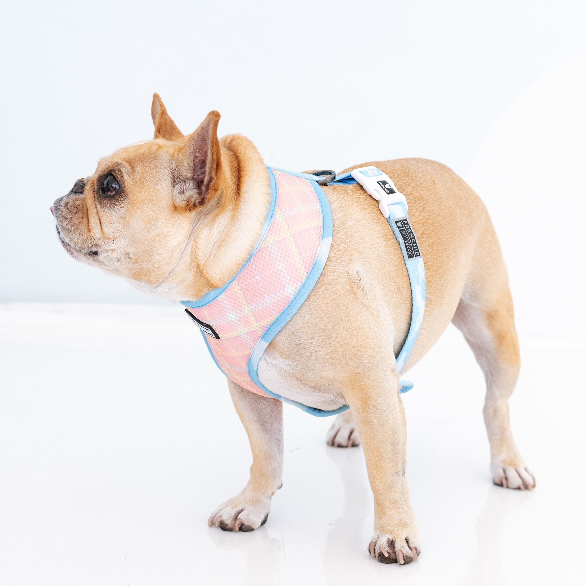 Frenchie Duo Reversible Harness - Secret Garden