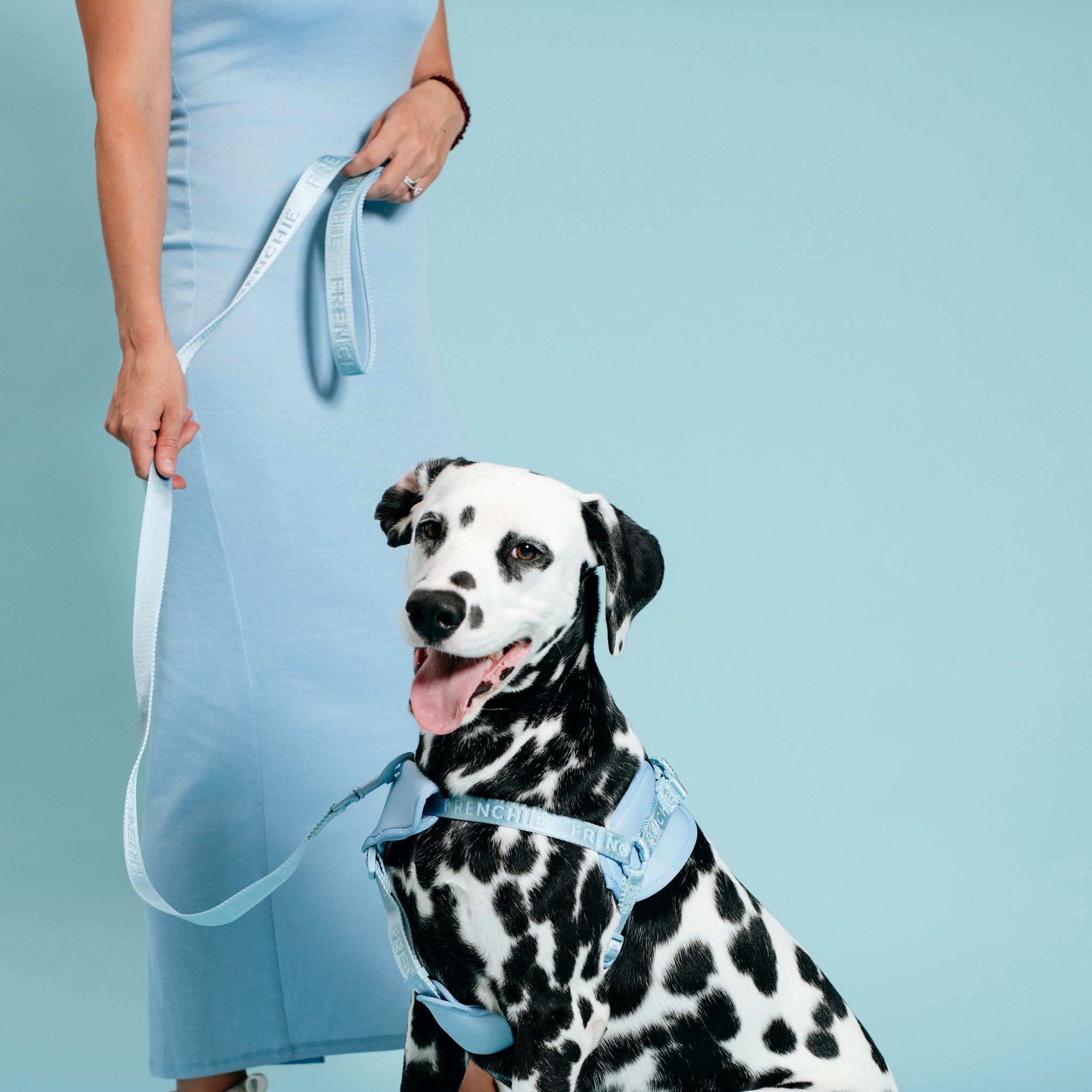 Frenchie Comfort Leash - Sky Blue