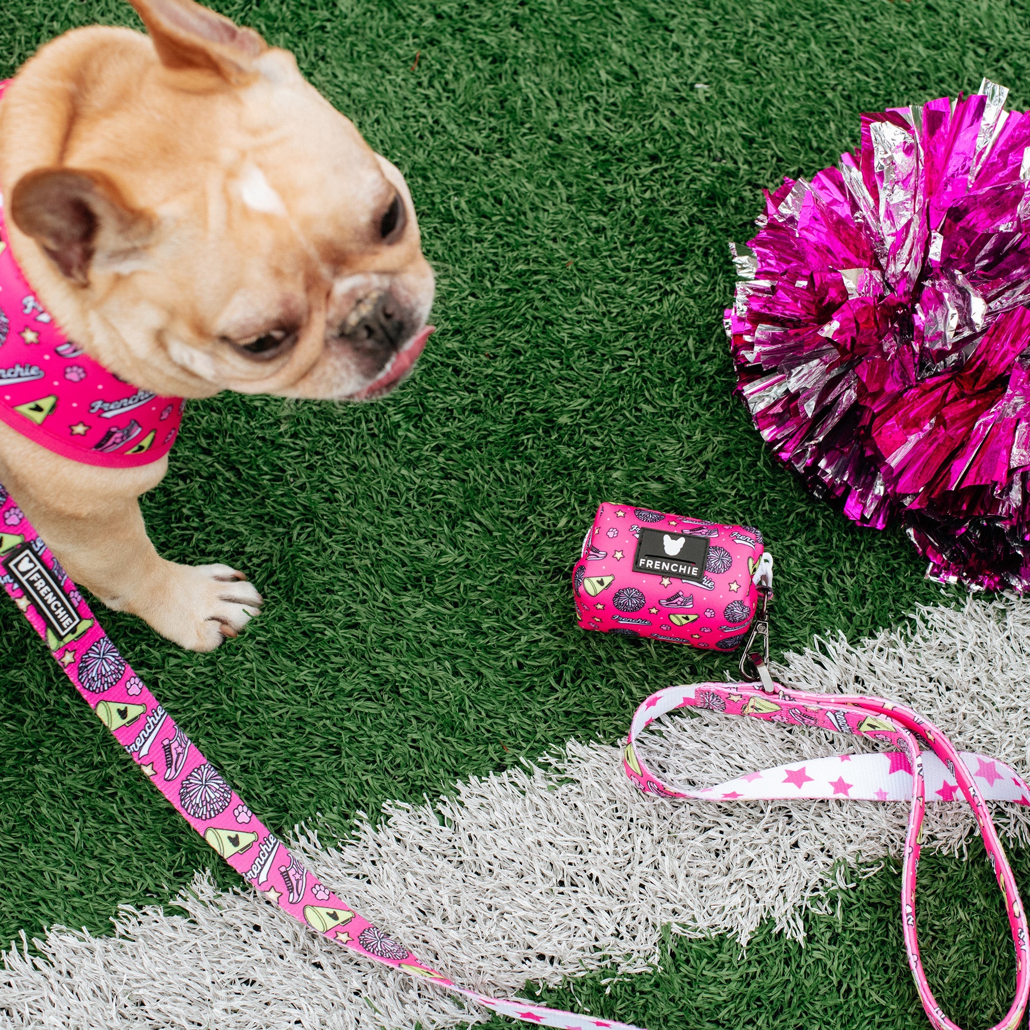 Frenchie Poo Bag Holder - Spirit Paws