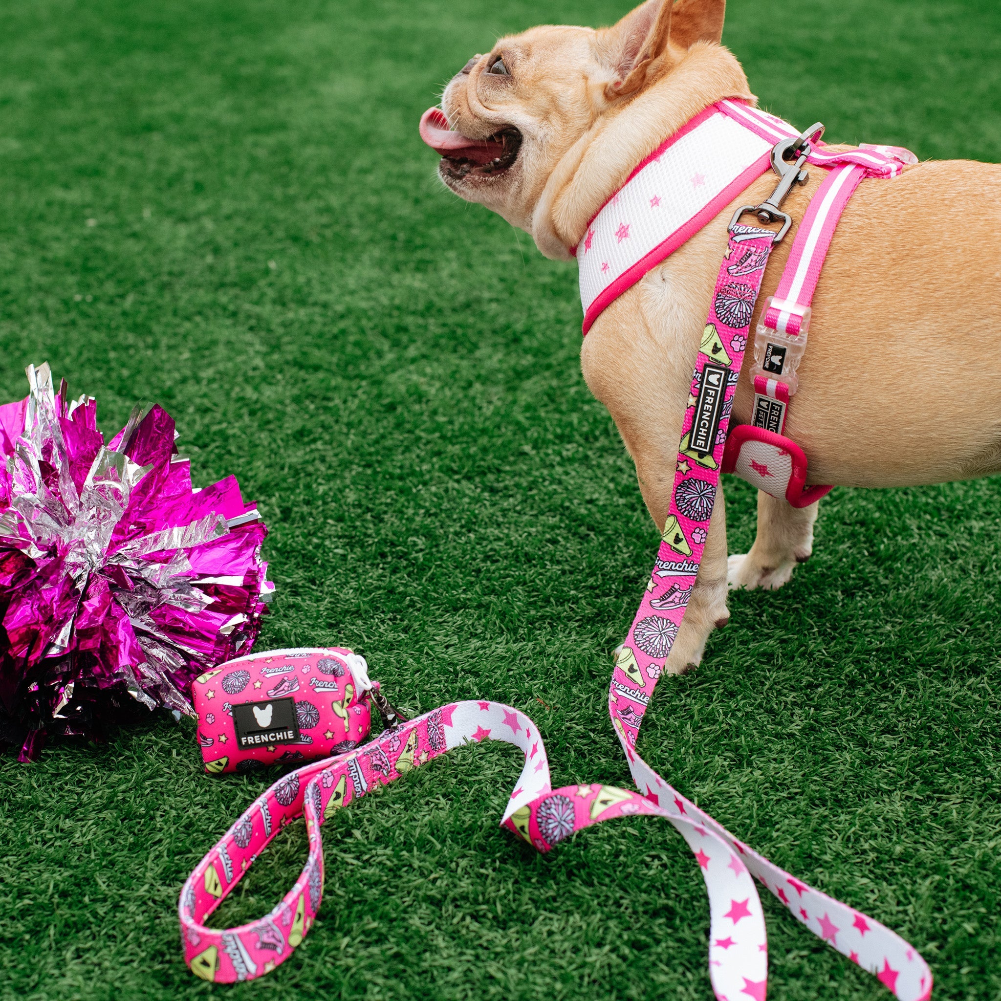 Frenchie Poo Bag Holder - Spirit Paws