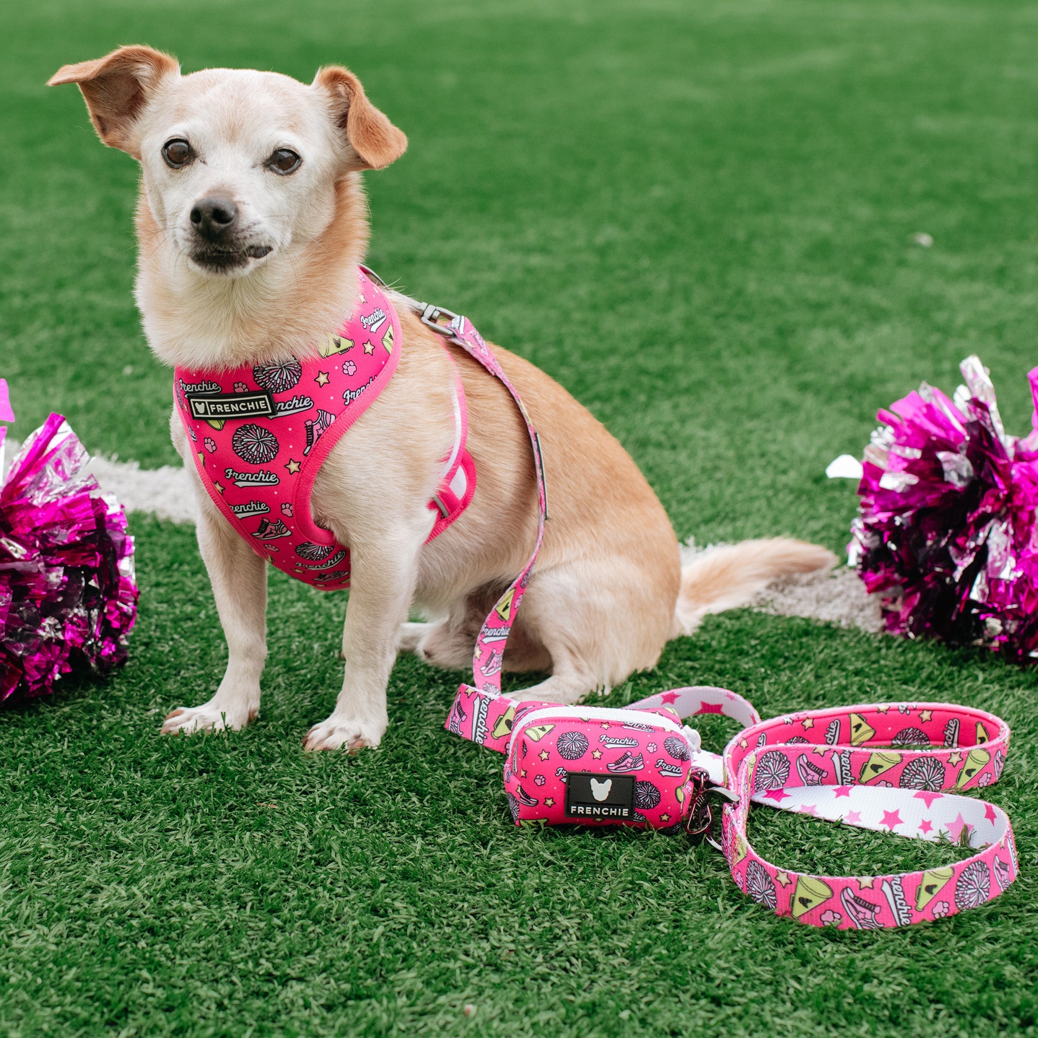 Frenchie Poo Bag Holder - Spirit Paws