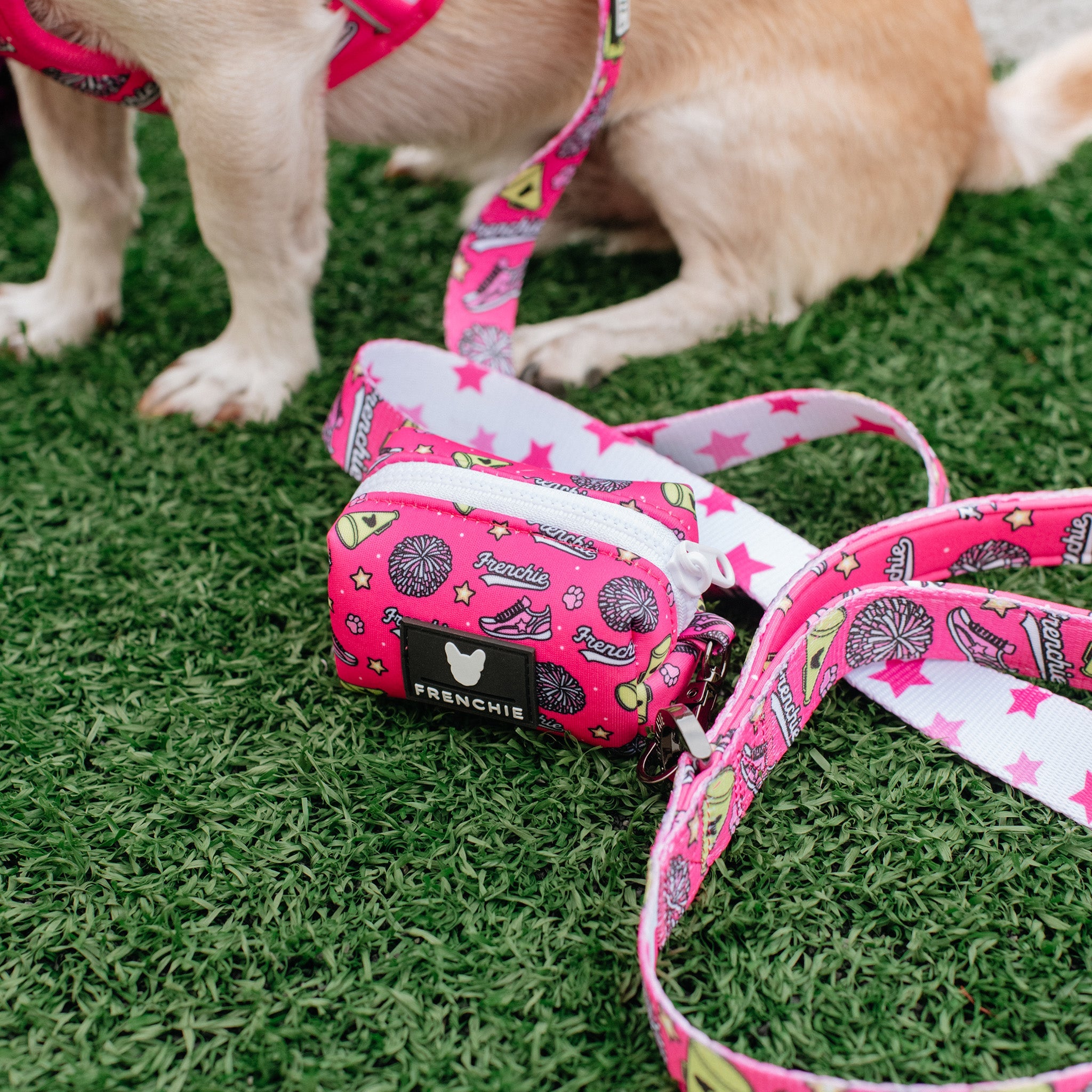 Frenchie Poo Bag Holder - Spirit Paws