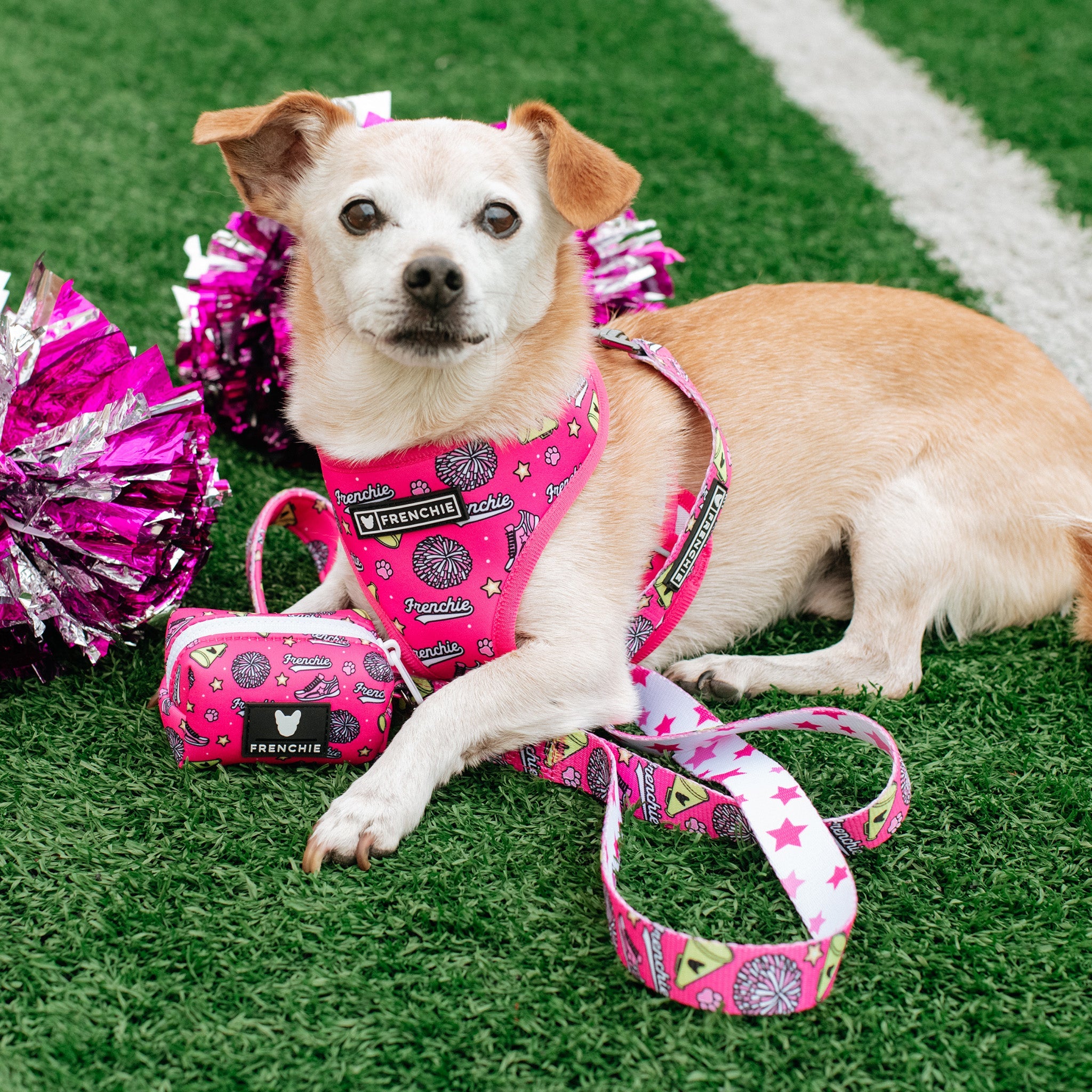 Frenchie Poo Bag Holder - Spirit Paws