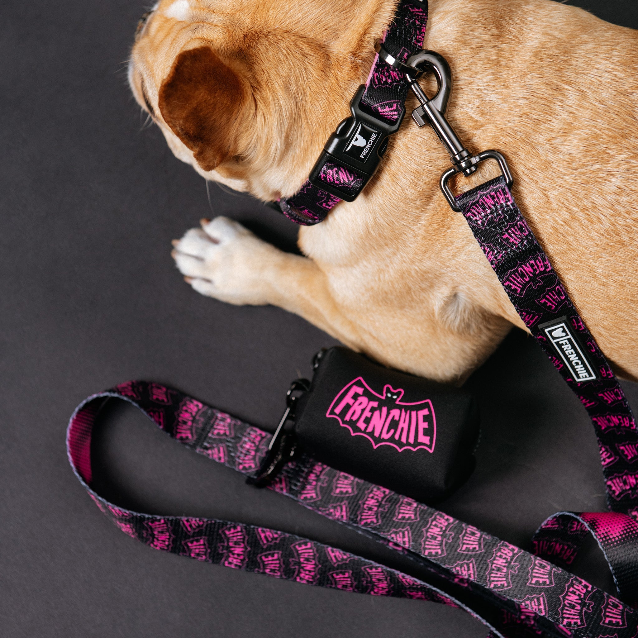 Frenchie Poo Bag Holder - Super Pig (Pink)