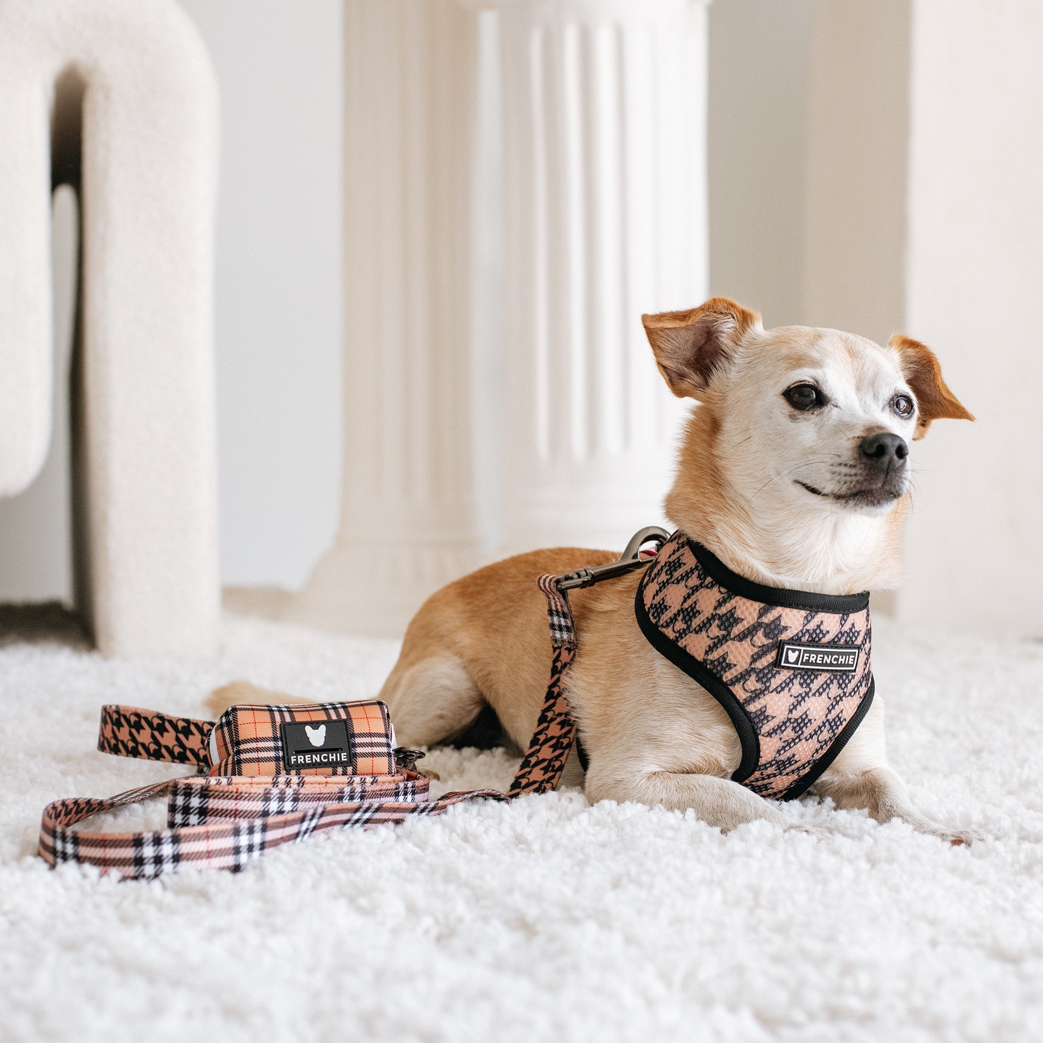 Frenchie Poo Bag Holder - Tan Tartan