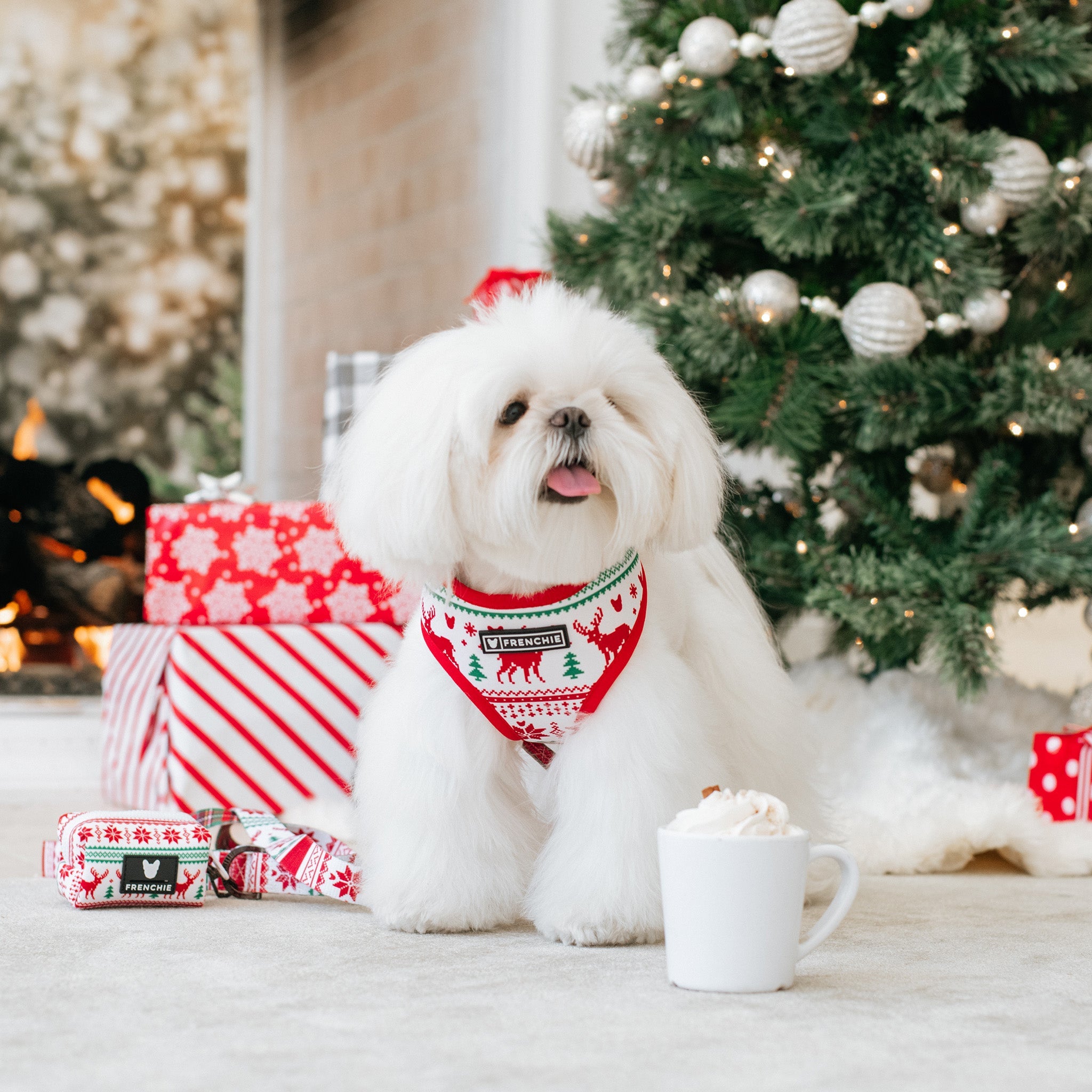 Frenchie Duo Reversible Harness - Tis The Season