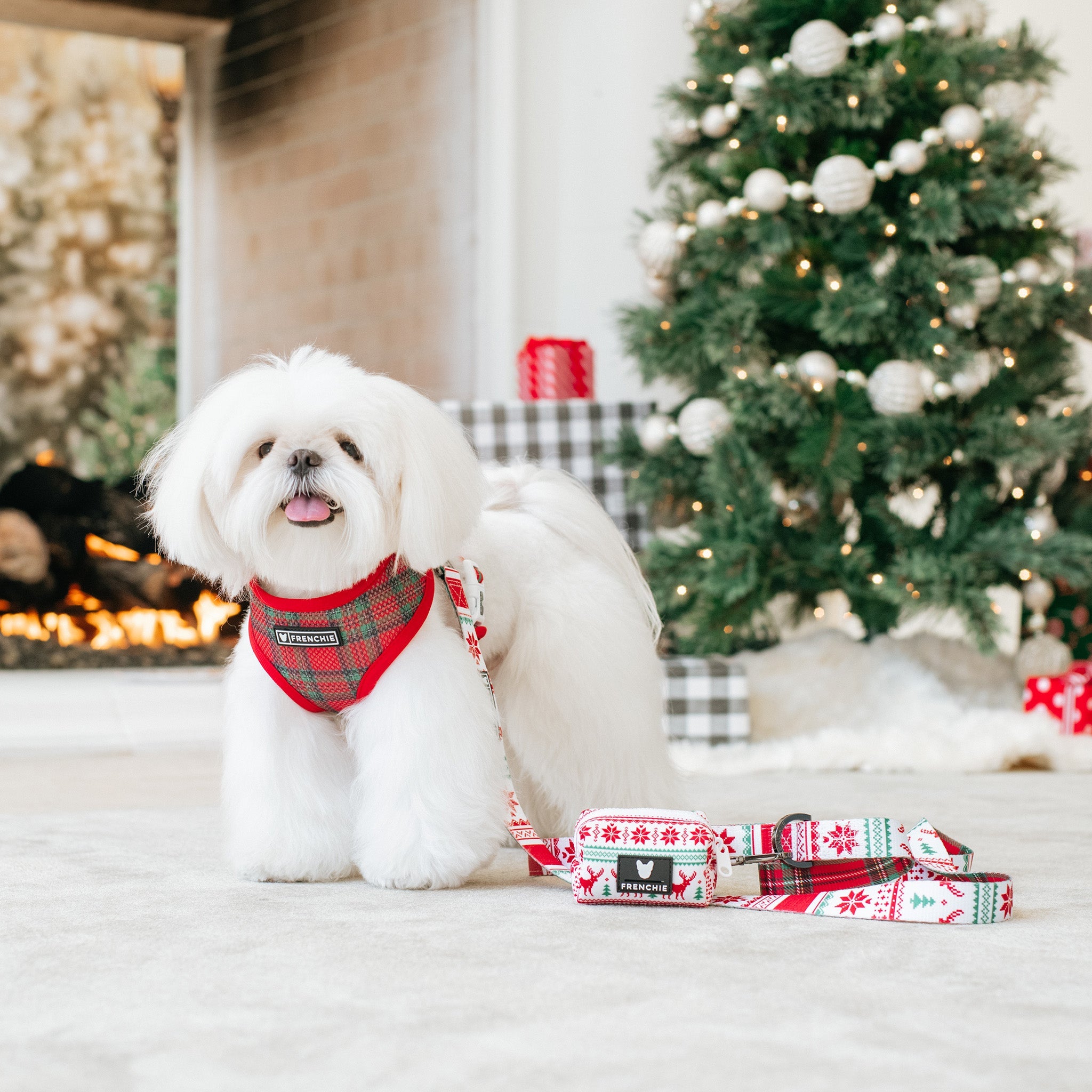 Frenchie Duo Reversible Harness - Tis The Season