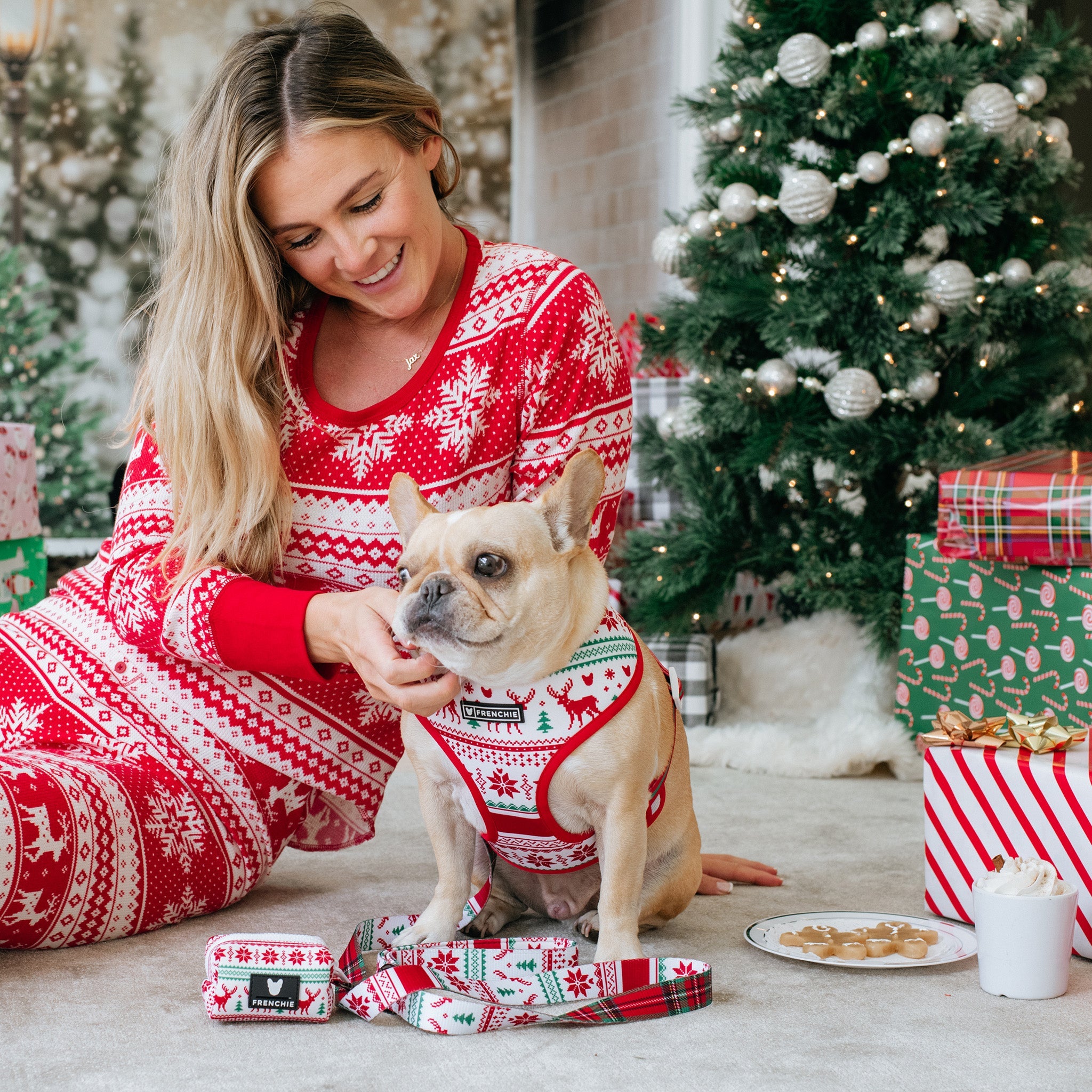 Frenchie Duo Reversible Harness - Tis The Season