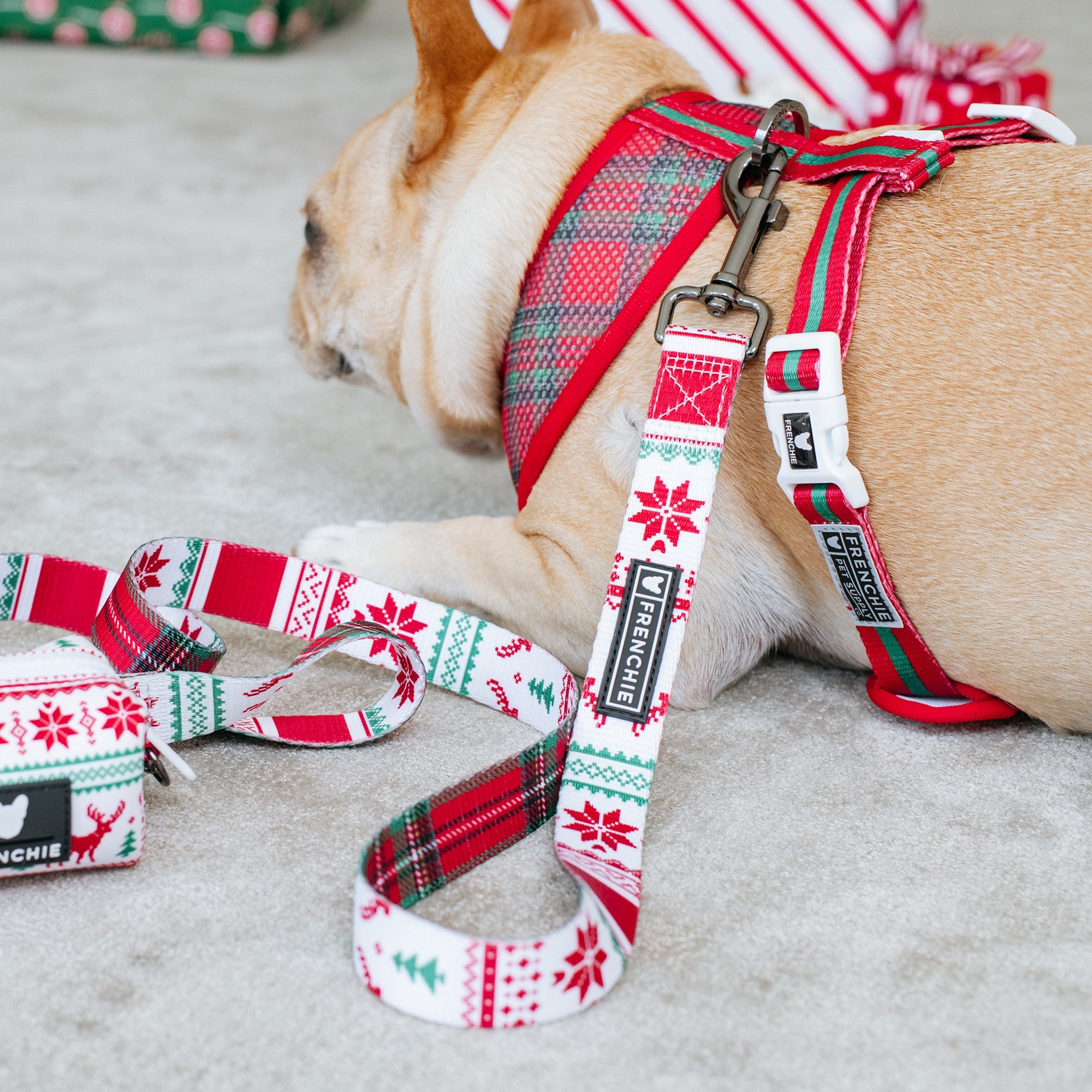 Frenchie Duo Reversible Harness - Tis The Season