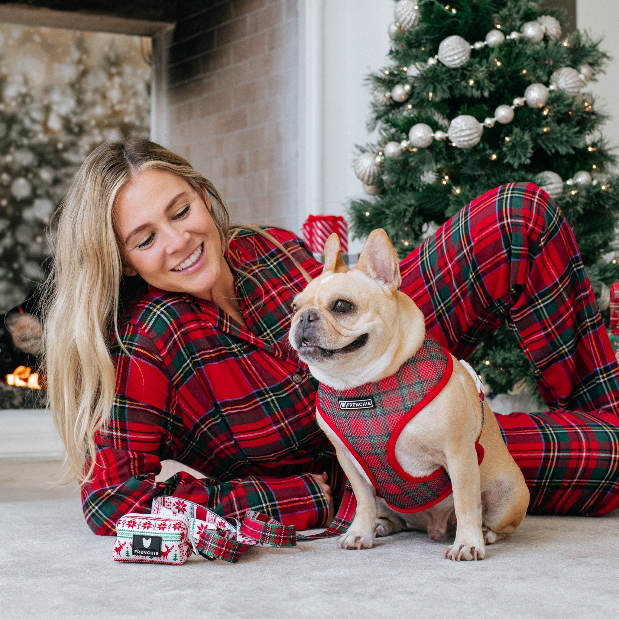 Frenchie Duo Reversible Harness - Tis The Season