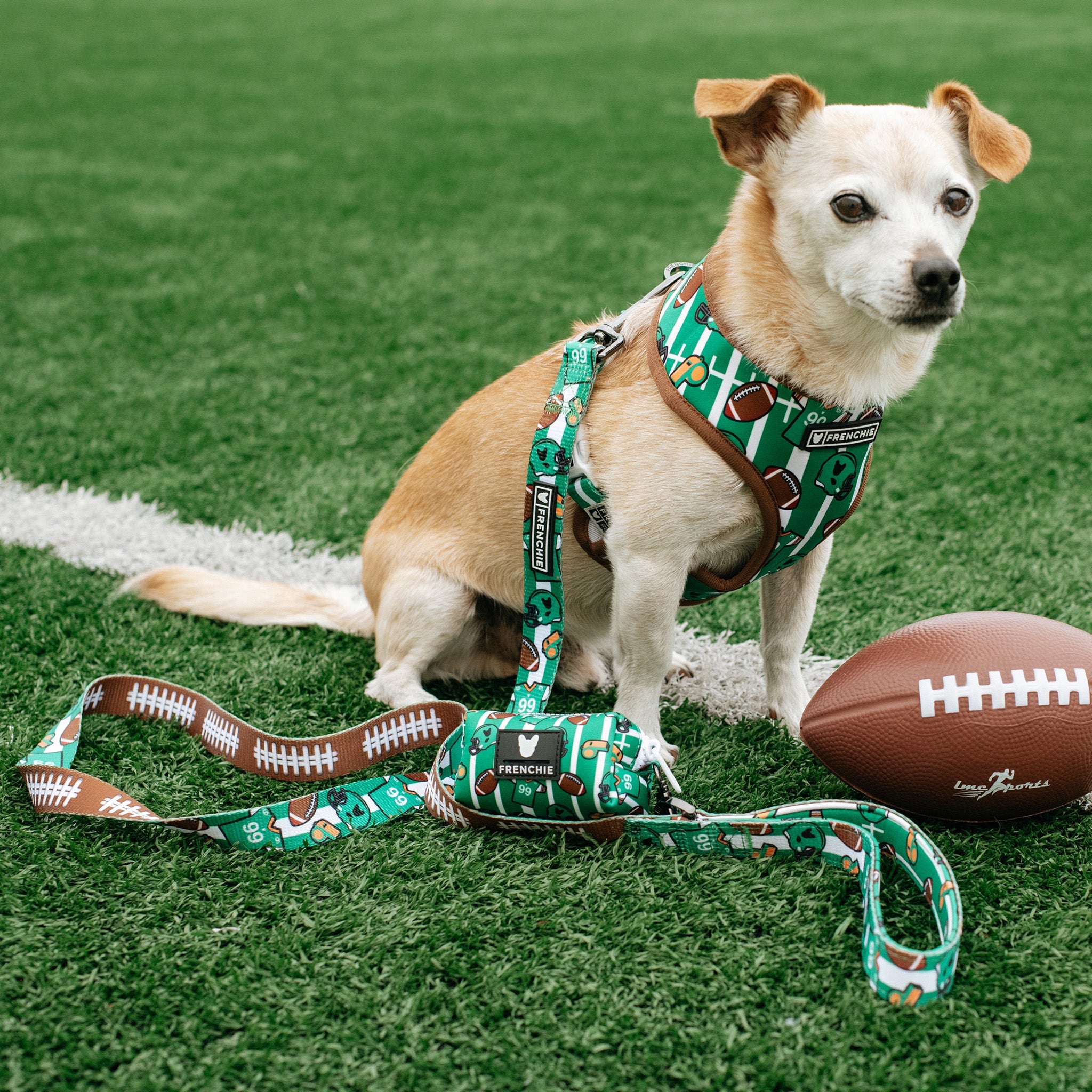 Frenchie Comfort Leash - Touchdown