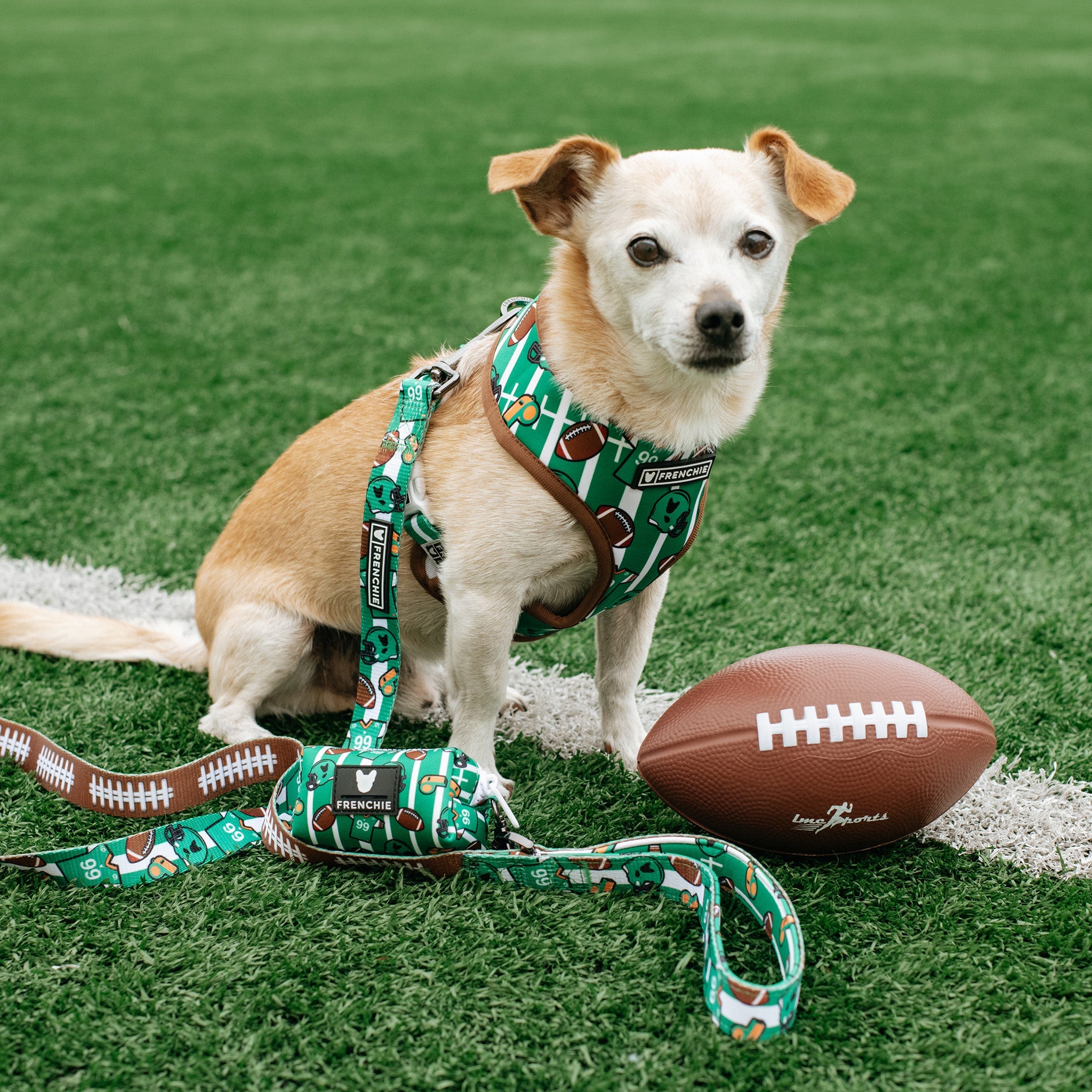 Frenchie Duo Reversible Harness - Touchdown