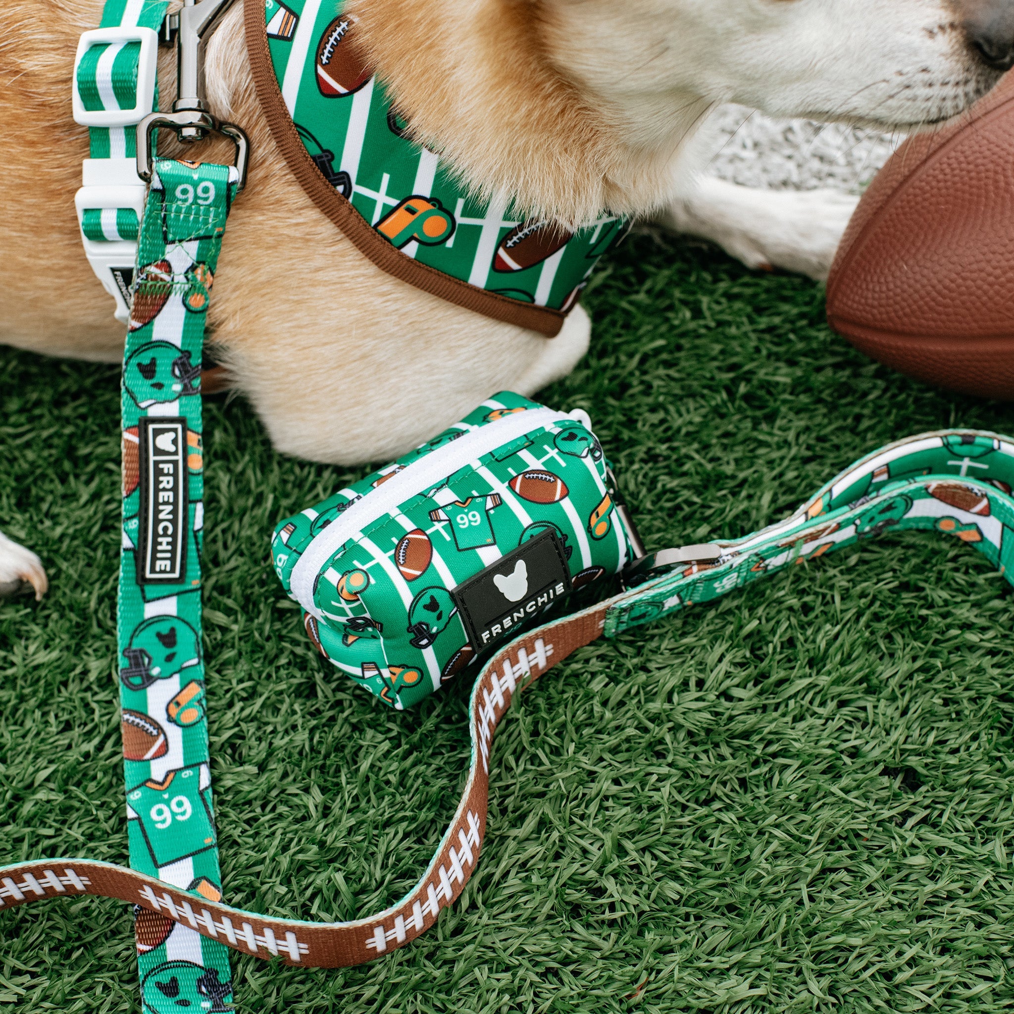 Frenchie Comfort Leash - Touchdown