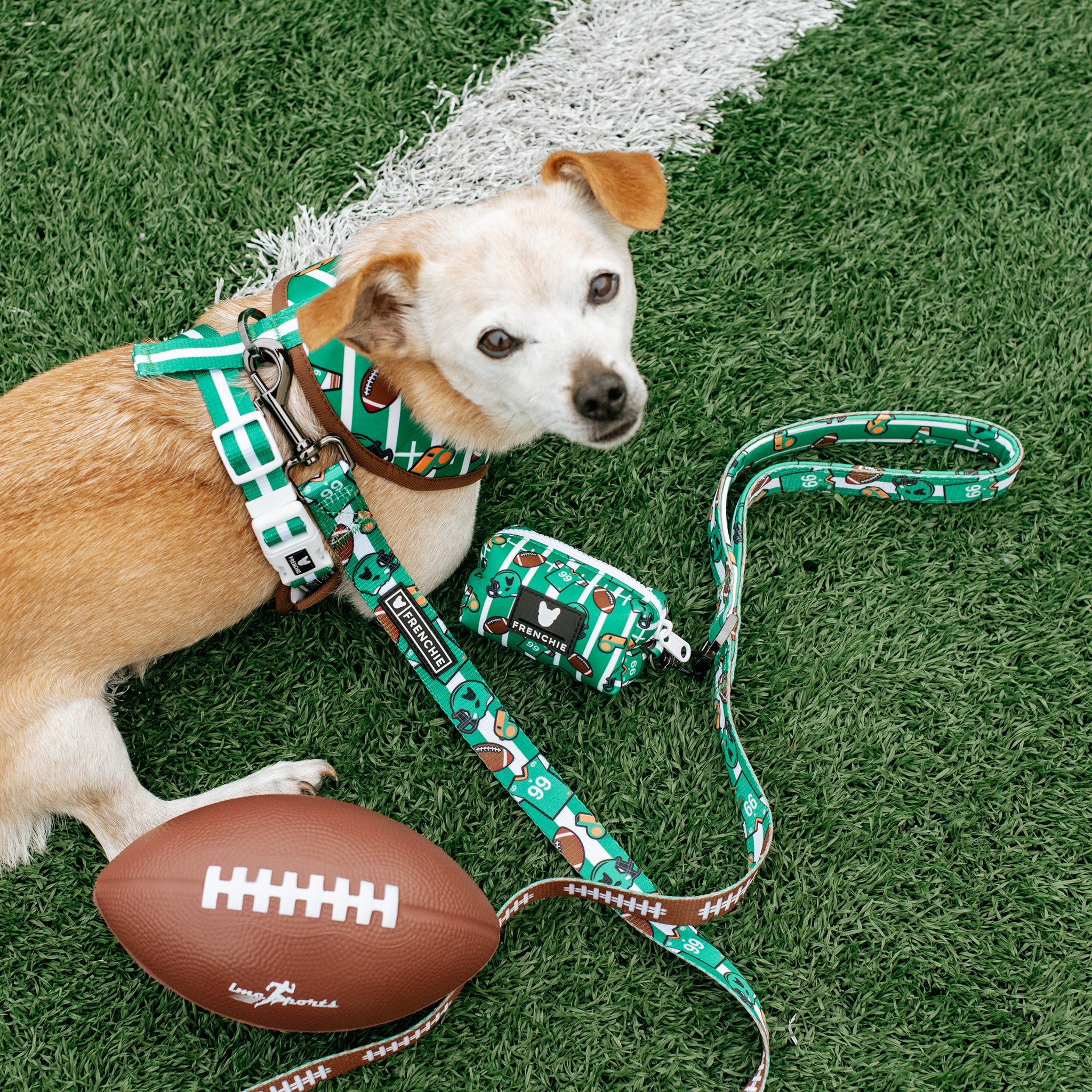 Frenchie Comfort Leash - Touchdown