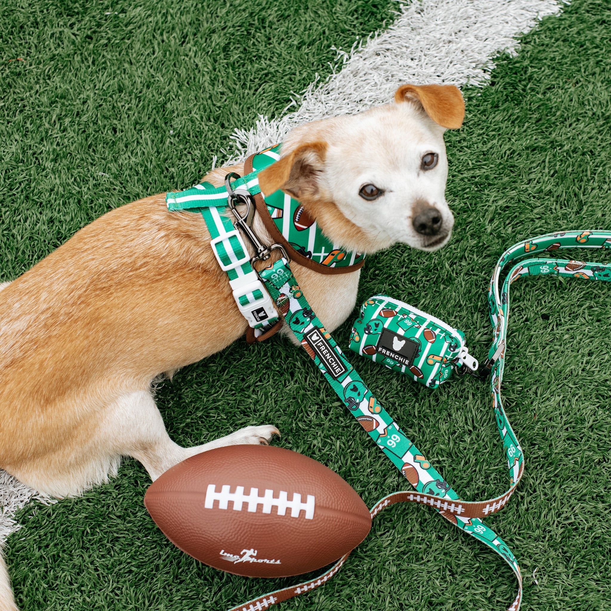 Frenchie Duo Reversible Harness - Touchdown