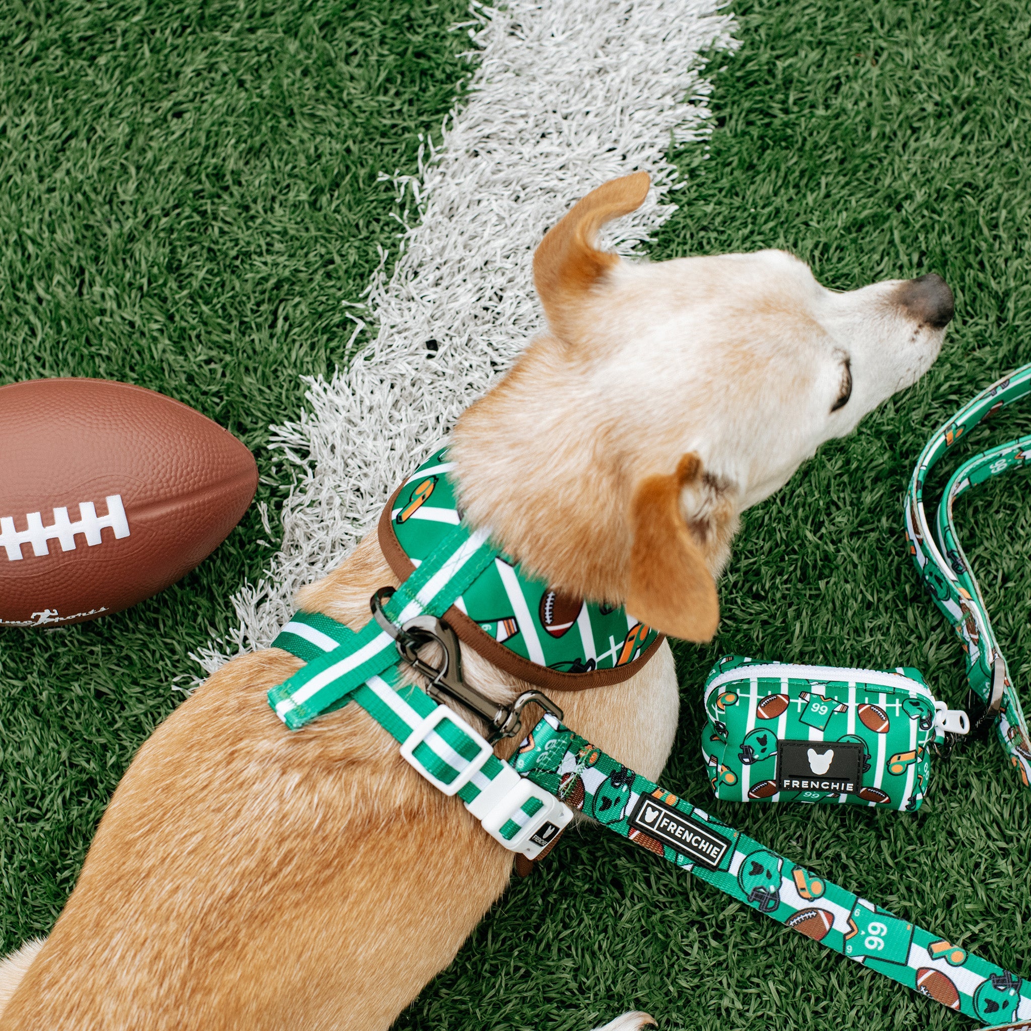 Frenchie Duo Reversible Harness - Touchdown