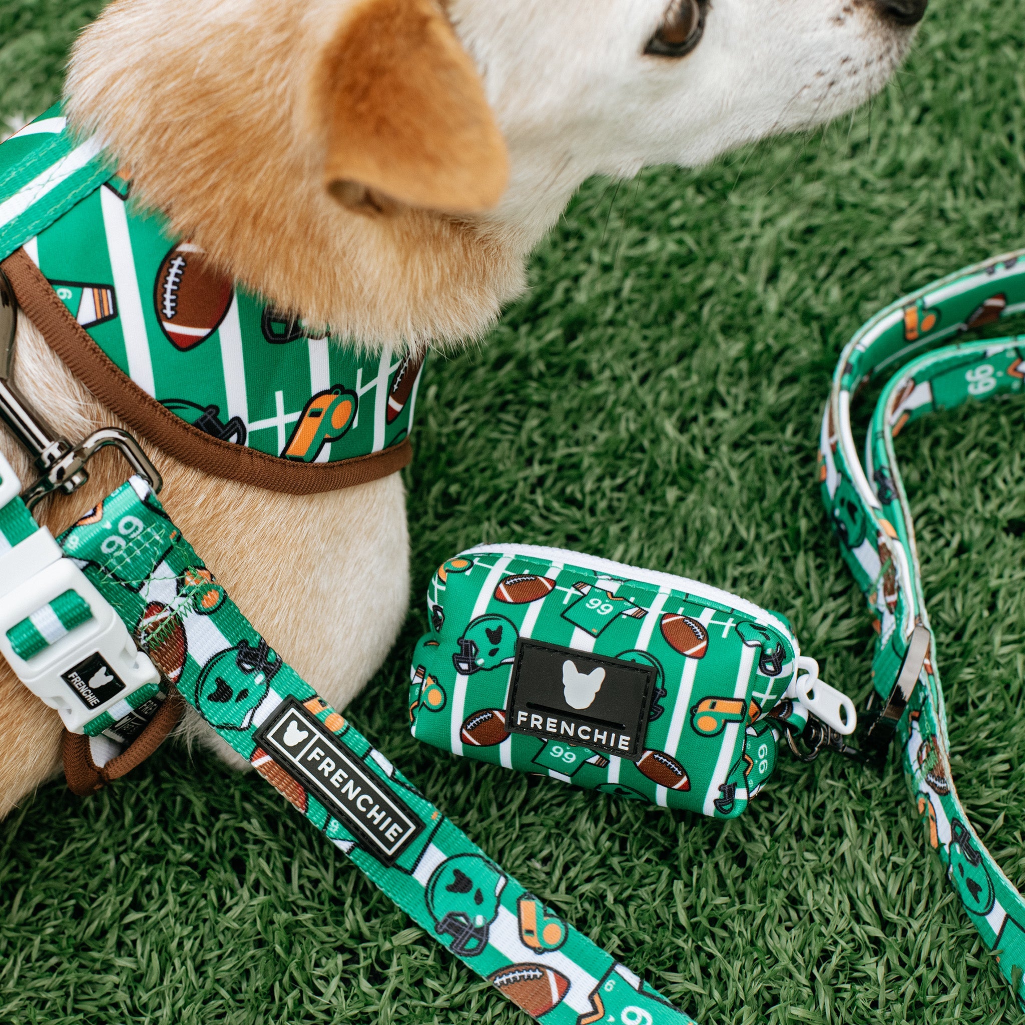 Frenchie Poo Bag Holder - Touchdown