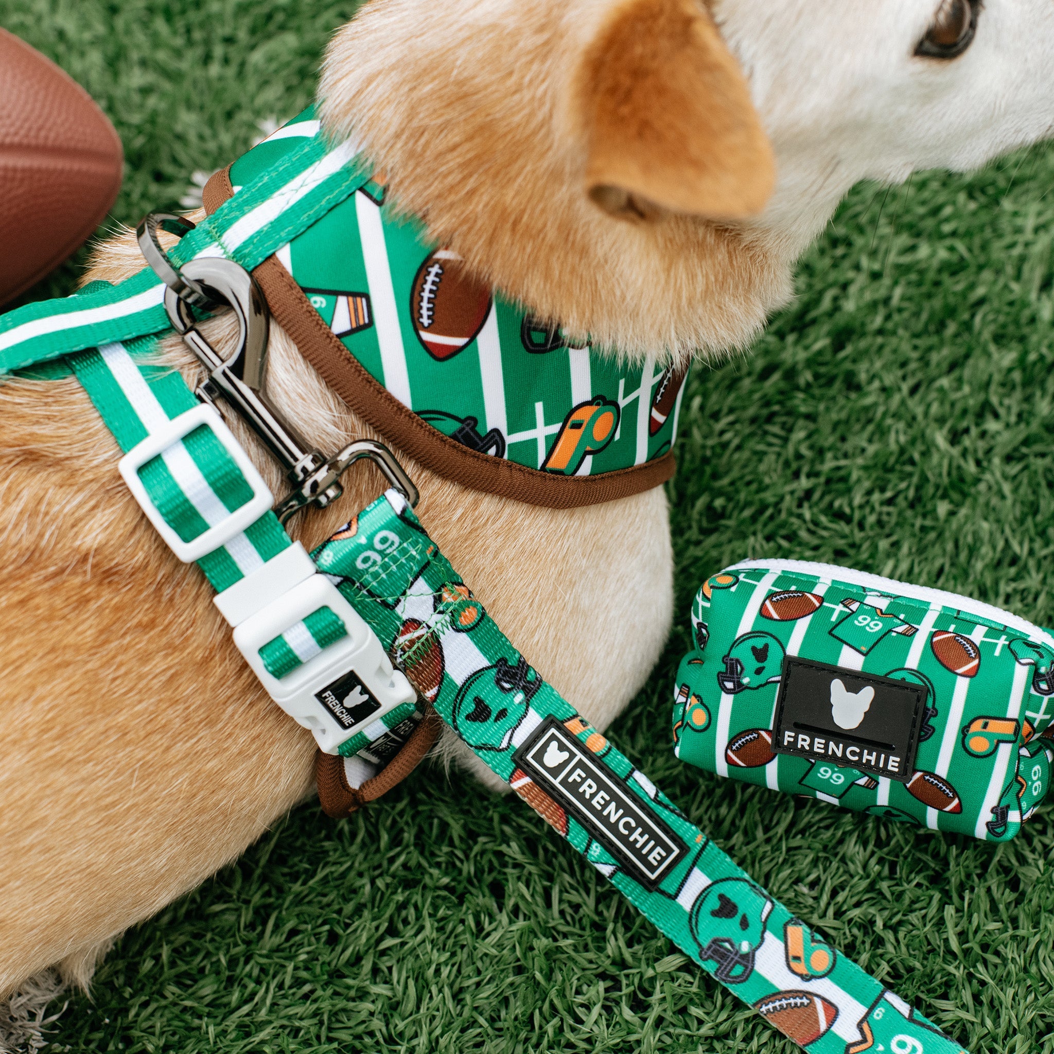 Frenchie Duo Reversible Harness - Touchdown