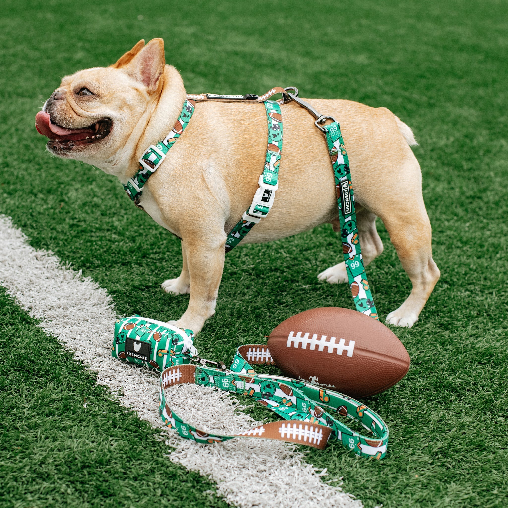 Frenchie Poo Bag Holder - Touchdown