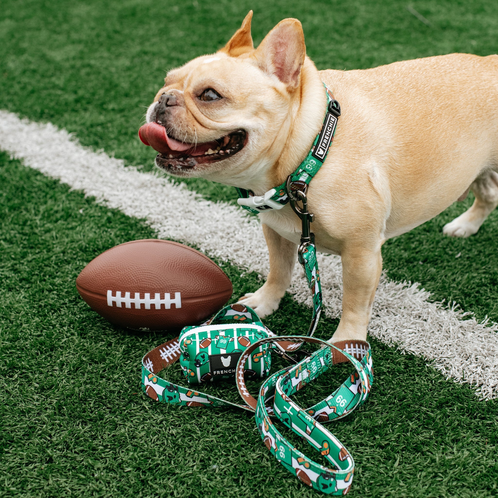 Frenchie Comfort Leash - Touchdown