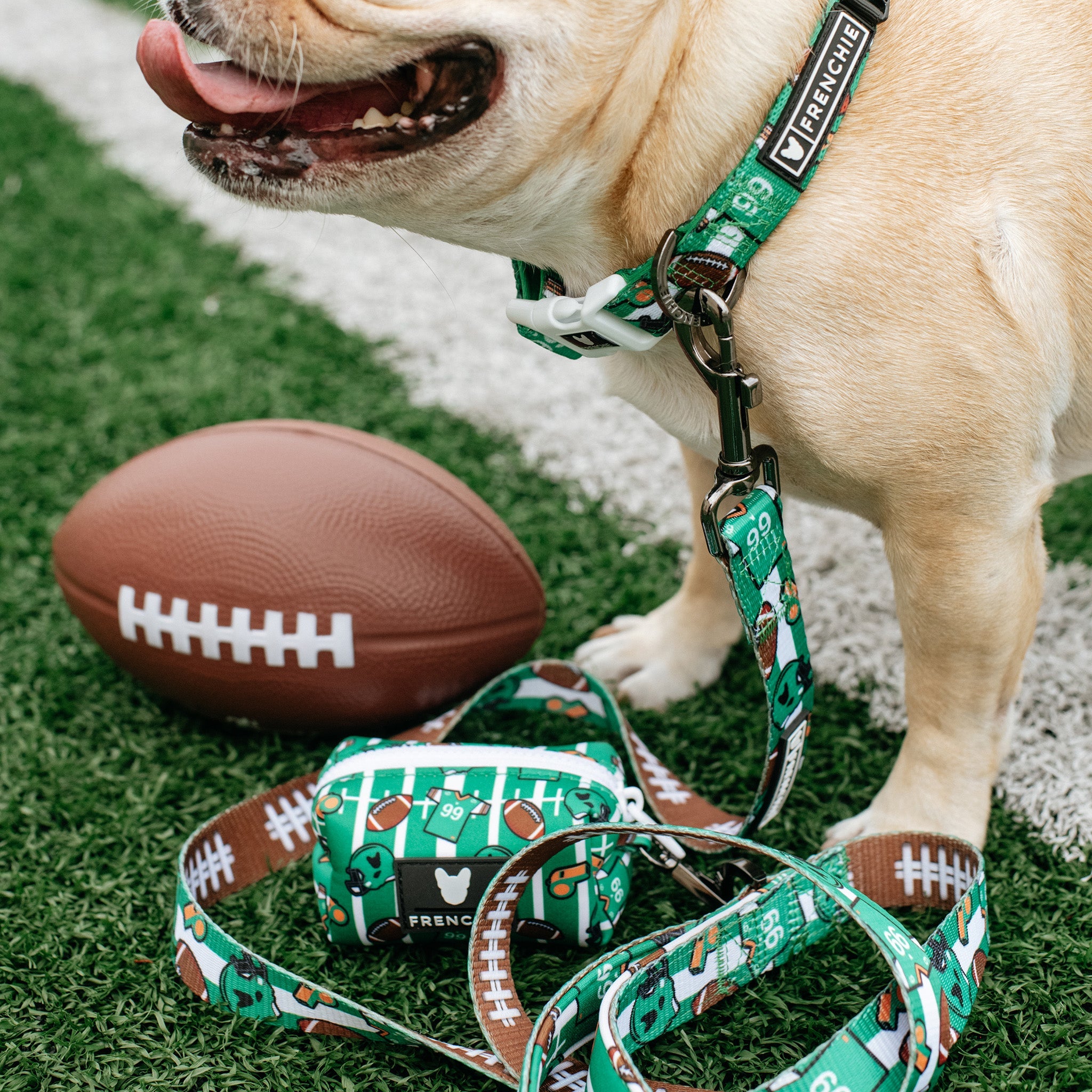 Frenchie Poo Bag Holder - Touchdown