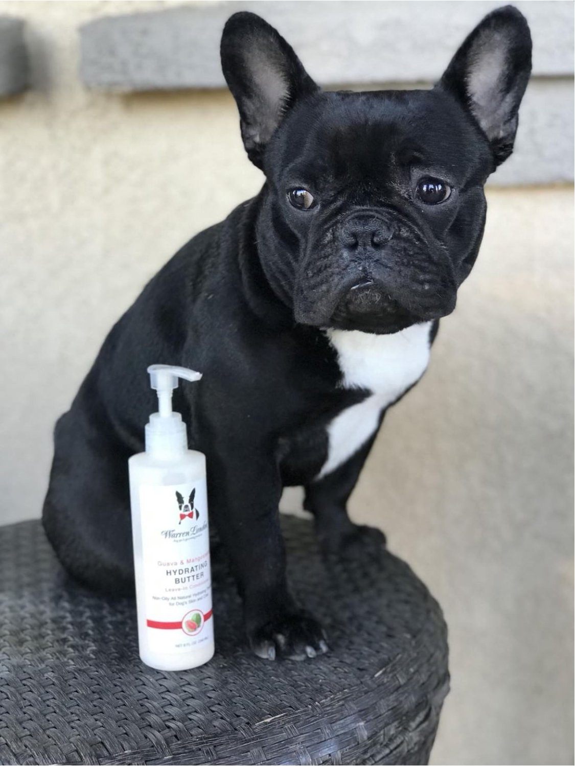 Hydrating Butter - For Dogs Skin & Coat - Leave-In Moisturizer