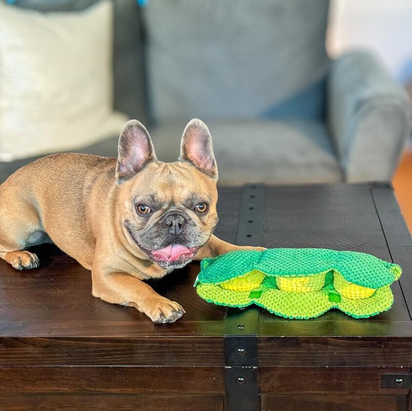 Pawty Pea Pod Interactive Plush Dog Toy