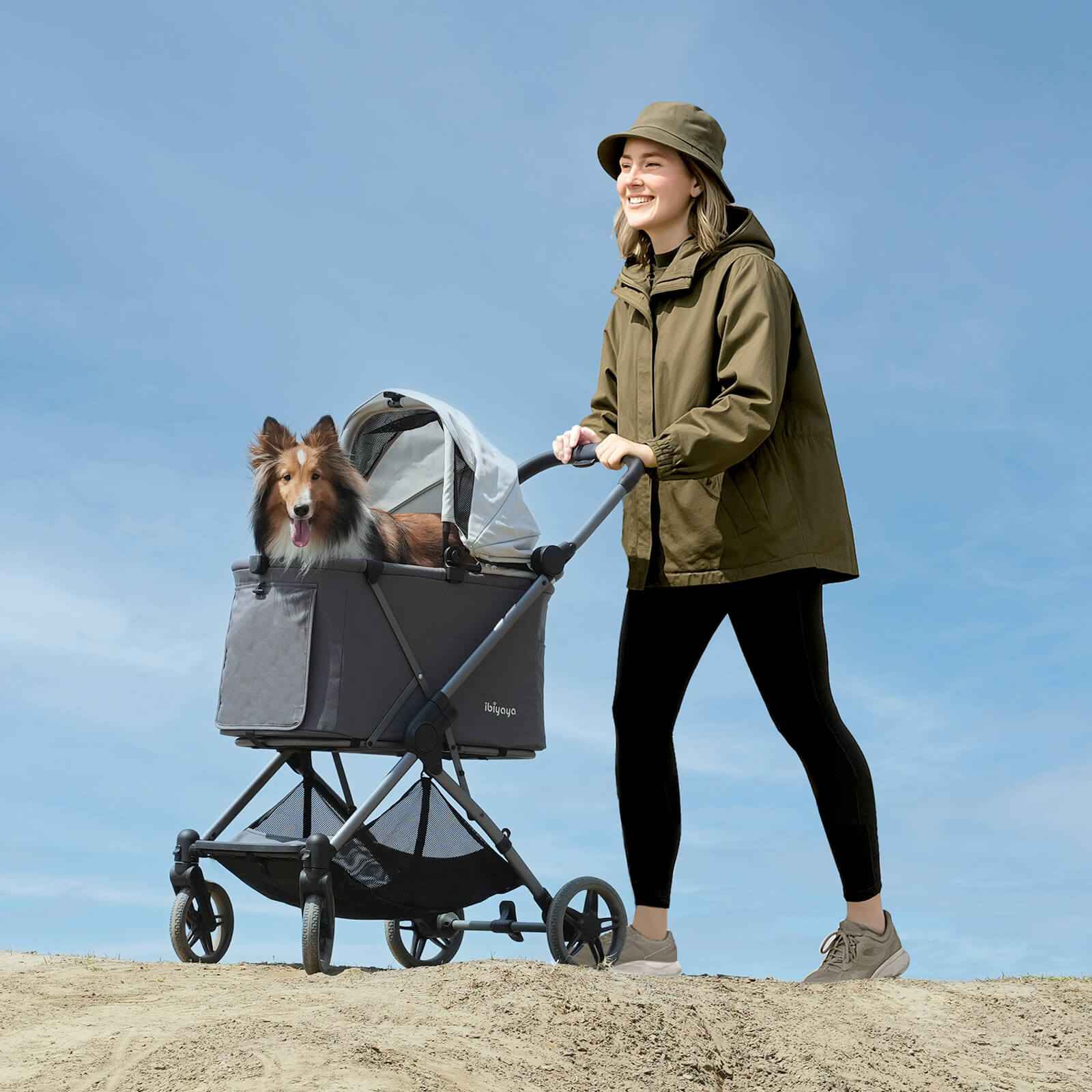 ibiyaya Maxi Deep Carriage Pet Stroller with Puncture-Free EVA-Rubber Wheels
