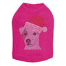 Jack Russell Terrier with Santa Hat - Dog Tank