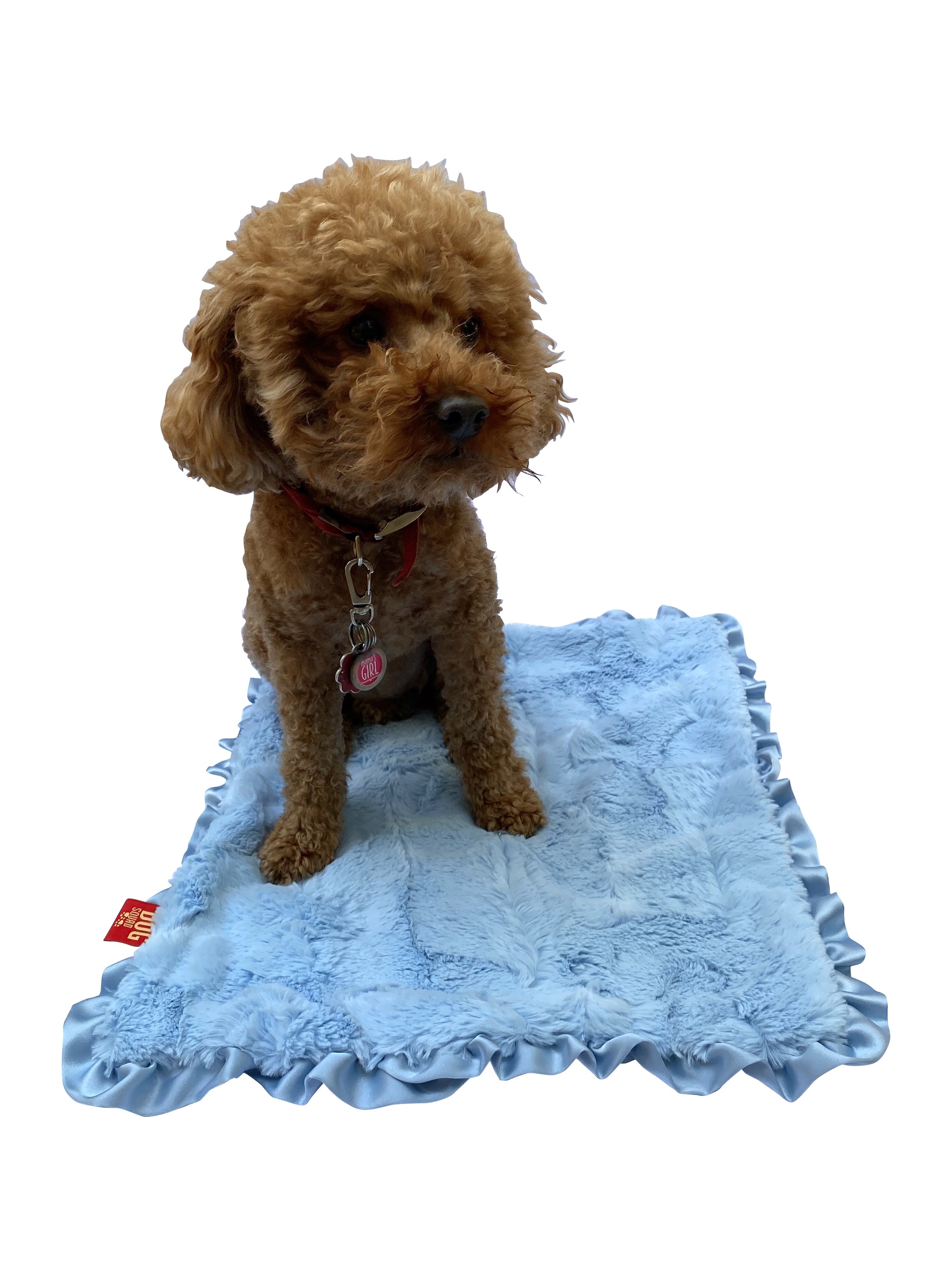 NEW Carrier Square Ruffled Blanket 14"x17", Bella Light Blue