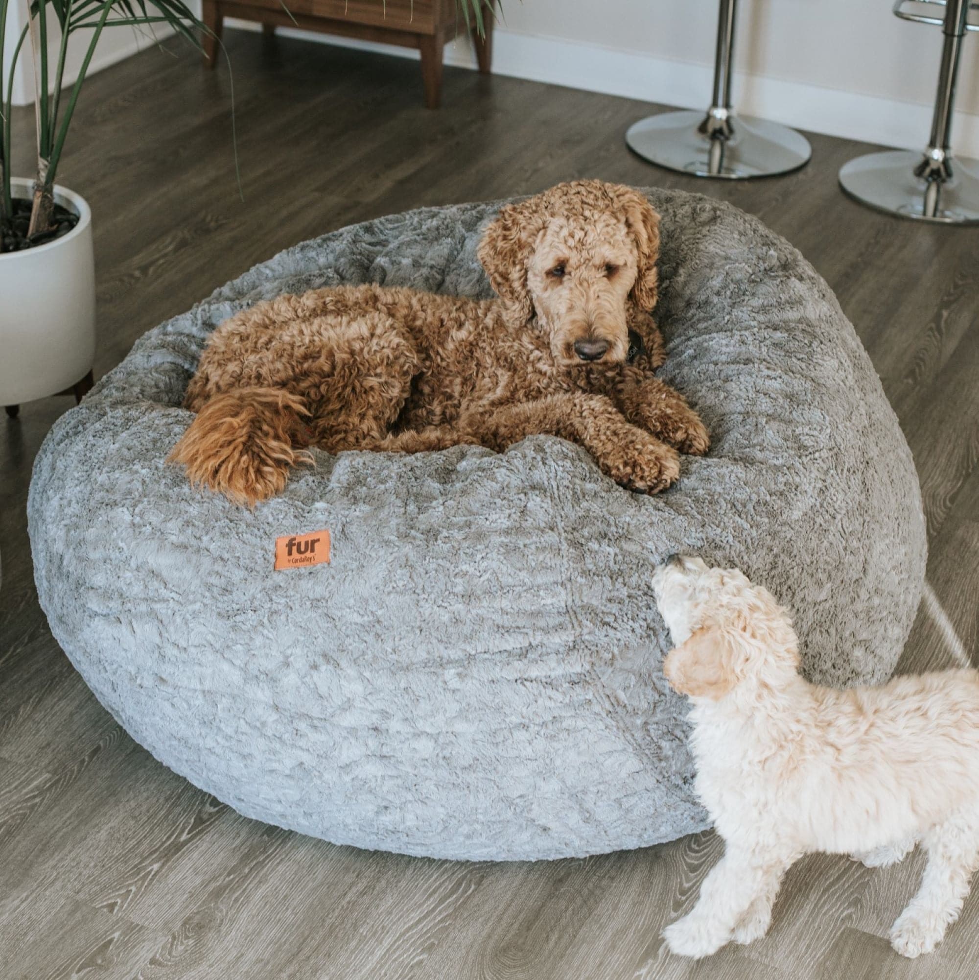CordaRoy's Full Faux Fur Convertible Bean Bag Chair