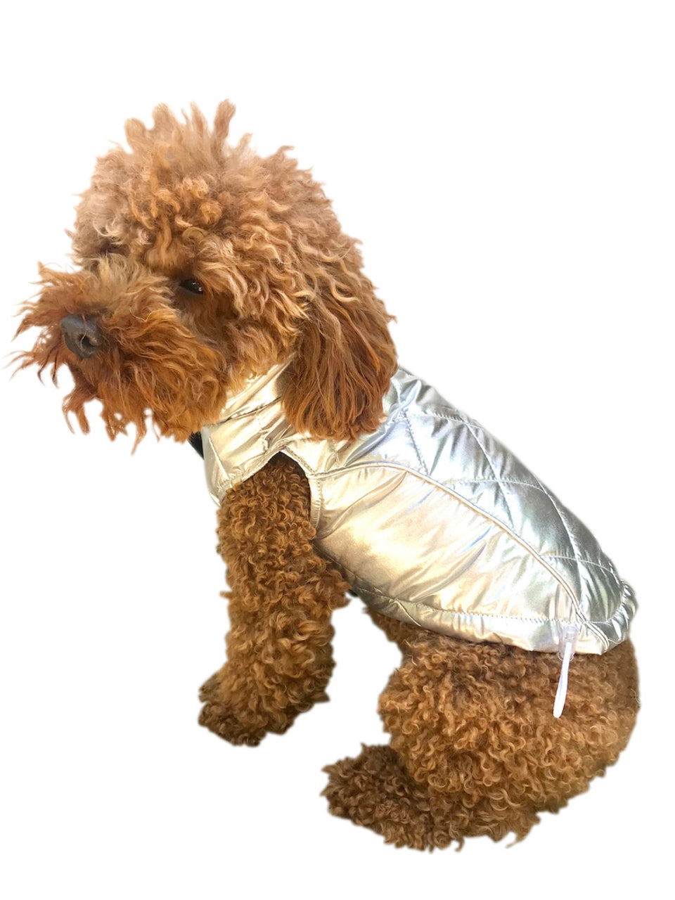 Gallactica Coat, Silver