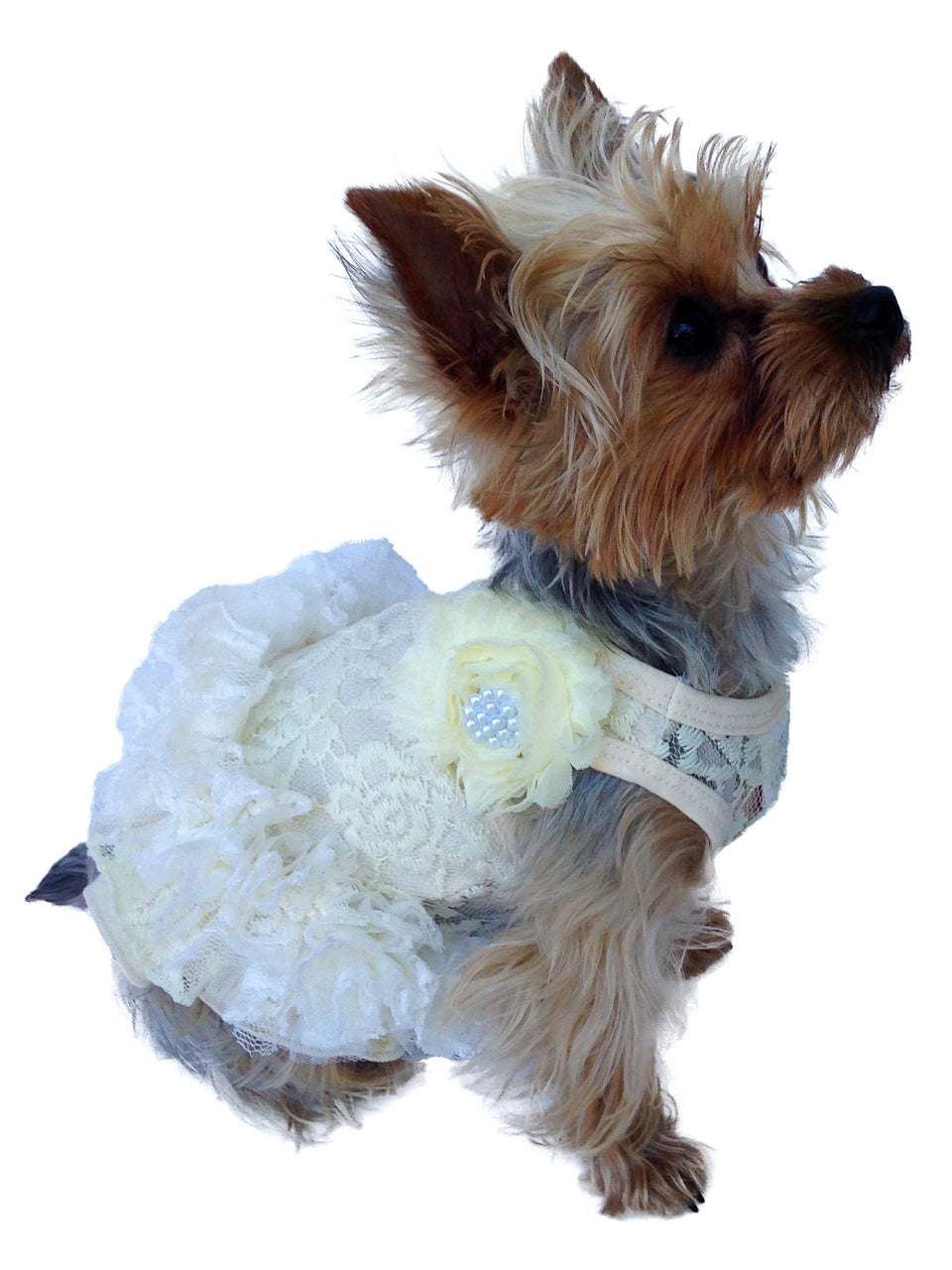 Garden Party Tutu, Ivory