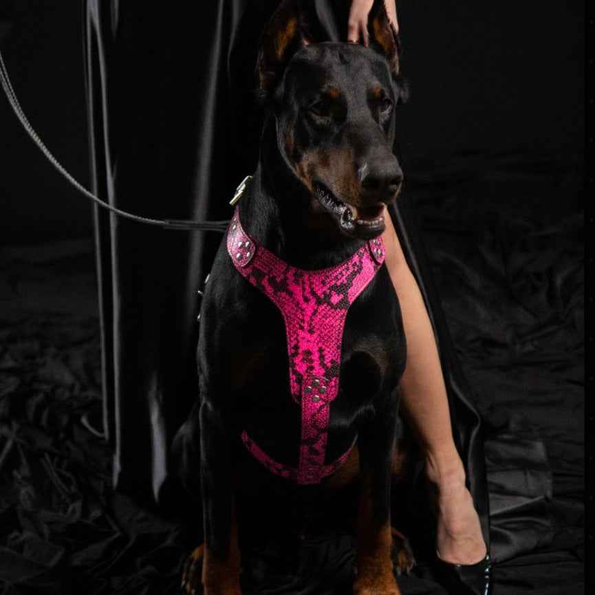 Bestia Rock Python Pink Leather Dog Harness