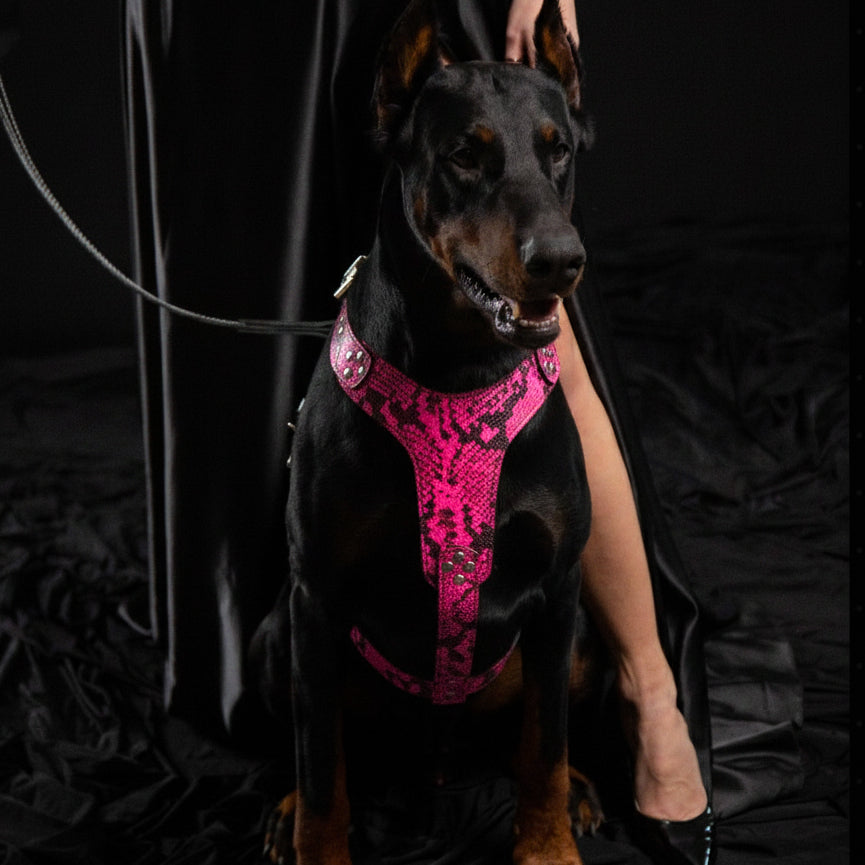 Bestia Dog Gear Genuine Leather Dog Harness - Pink/M 