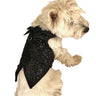 The Gentlemans Doggie Tuxedo, Black Sequins
