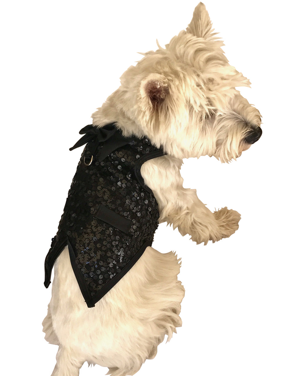 The Gentlemans Doggie Tuxedo, Black Sequins