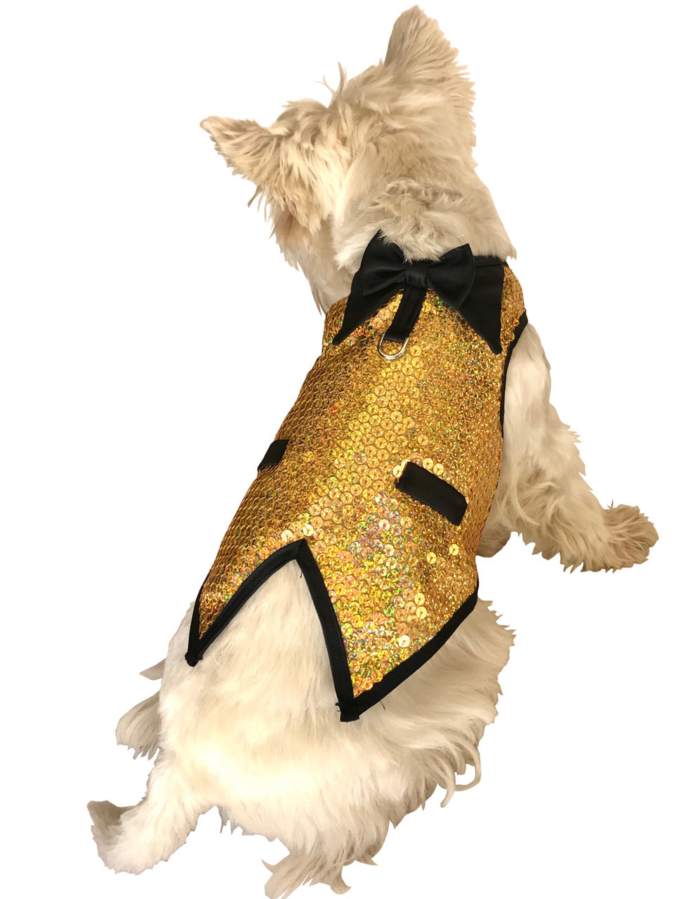 The Gentlemans Doggie Tuxedo, Gold Krugerrand Sequins