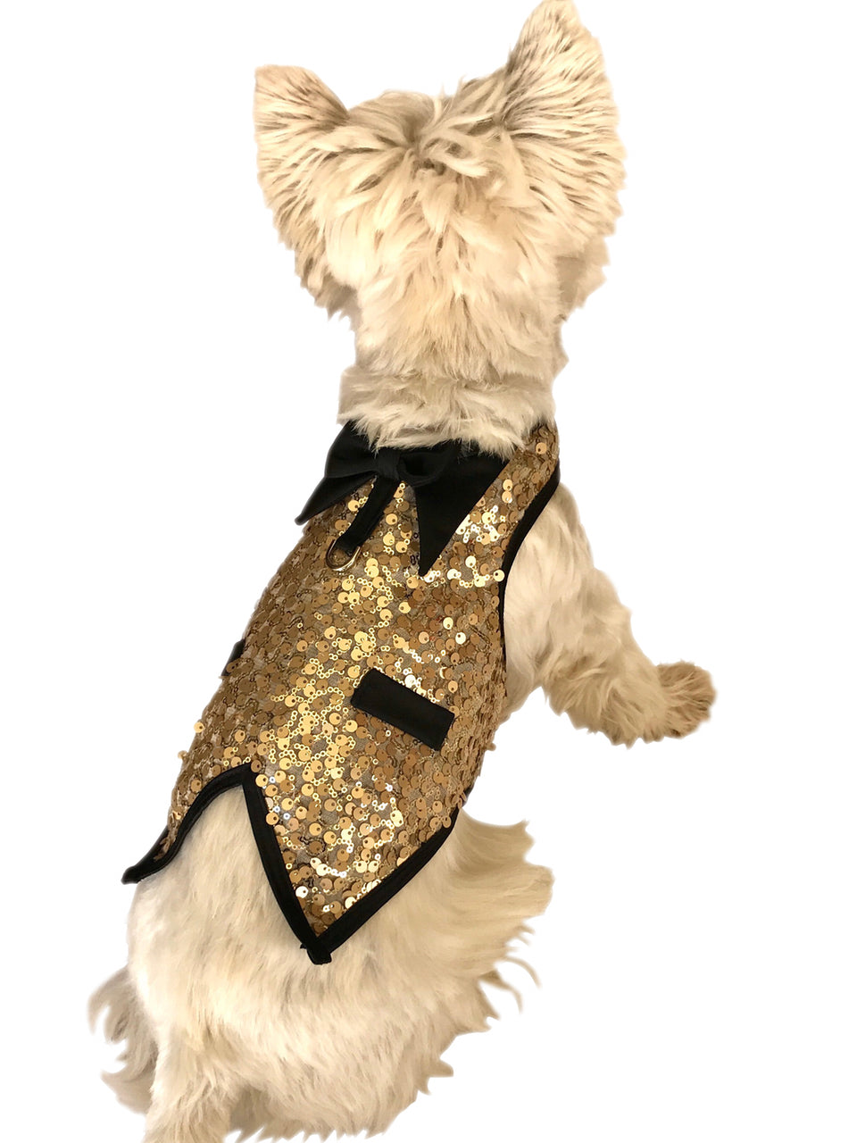 The Gentlemans Doggie Tuxedo, Lt. Gold Sequins