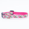 Up Country Gingham All the Way Small Breed Dog Collar Made in USA