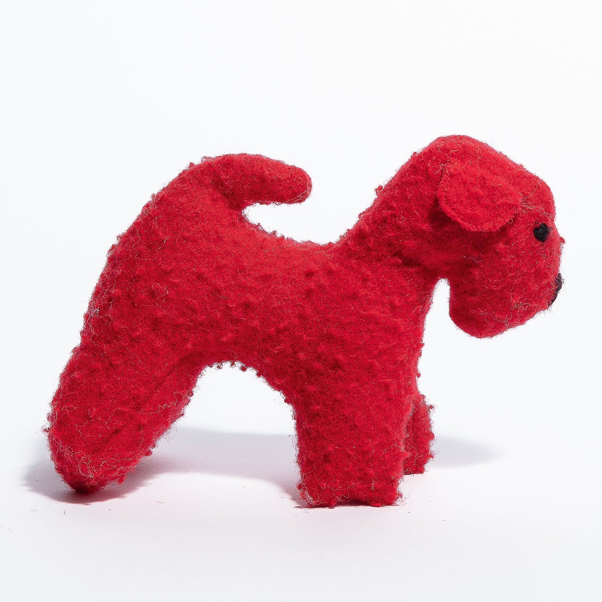 Puppy-Fausta