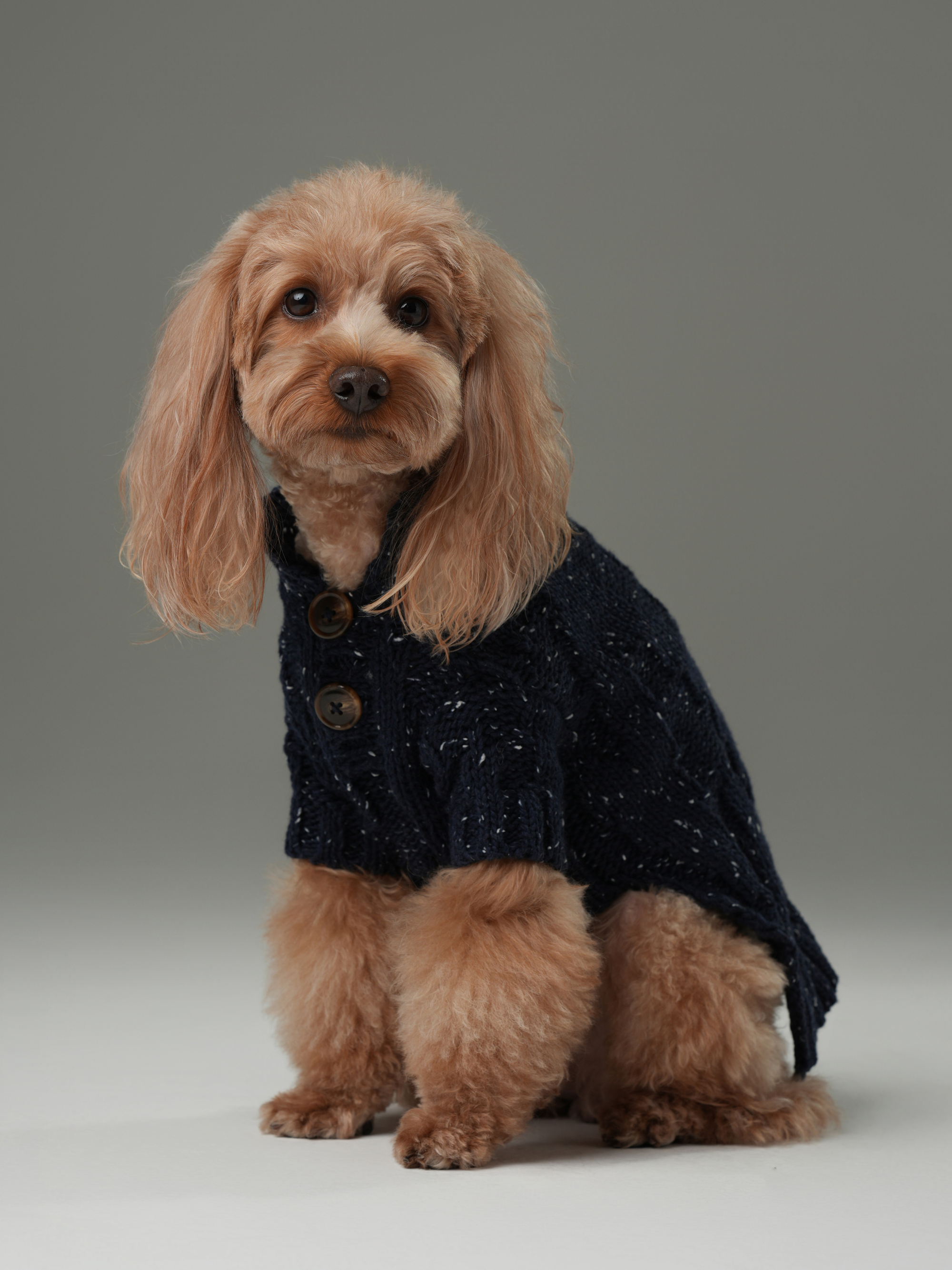 Glacier Pet Sweater-Navy