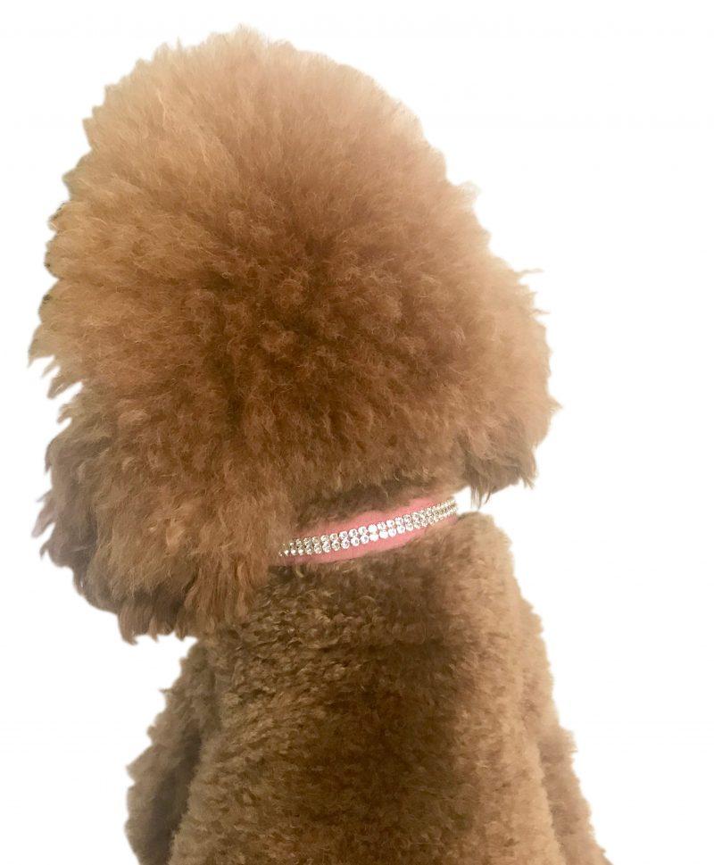 Glamour Girl Ultrasuede Collar w/ Swarovski Crystal, Bubblegum