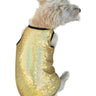 Gold Stardust Tank Top