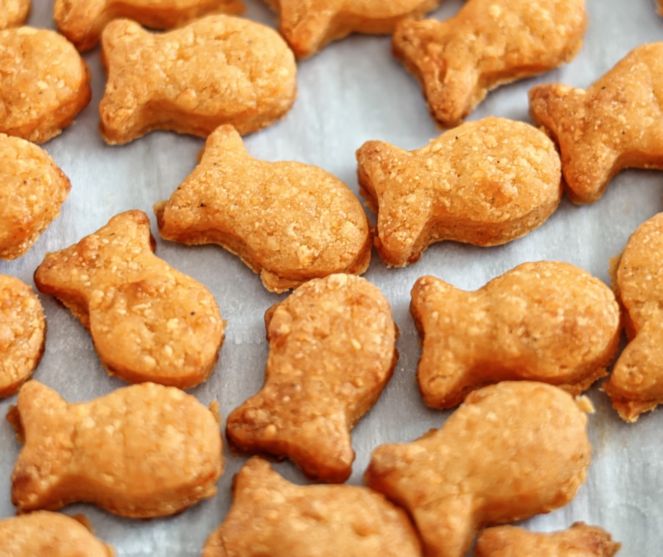 PAWsitively Organic Goldfish Cheddar Dog Treats