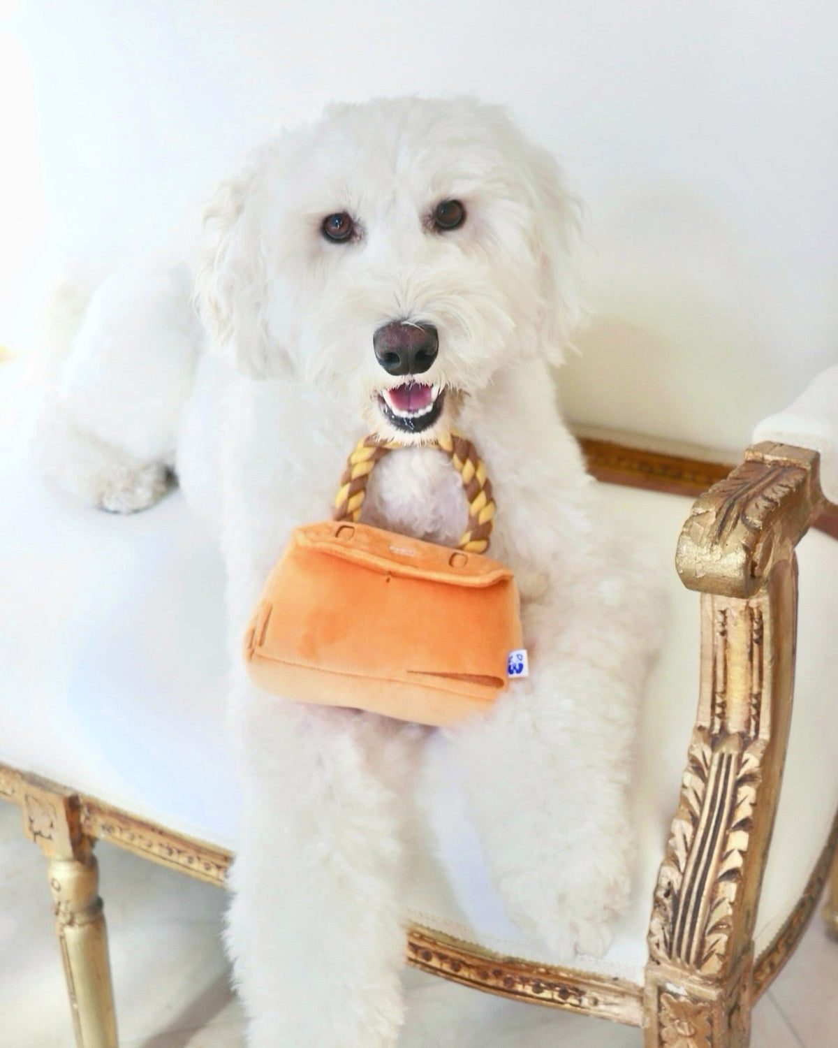 Pawty Barkin Bag Designer Plush Dog Toy
