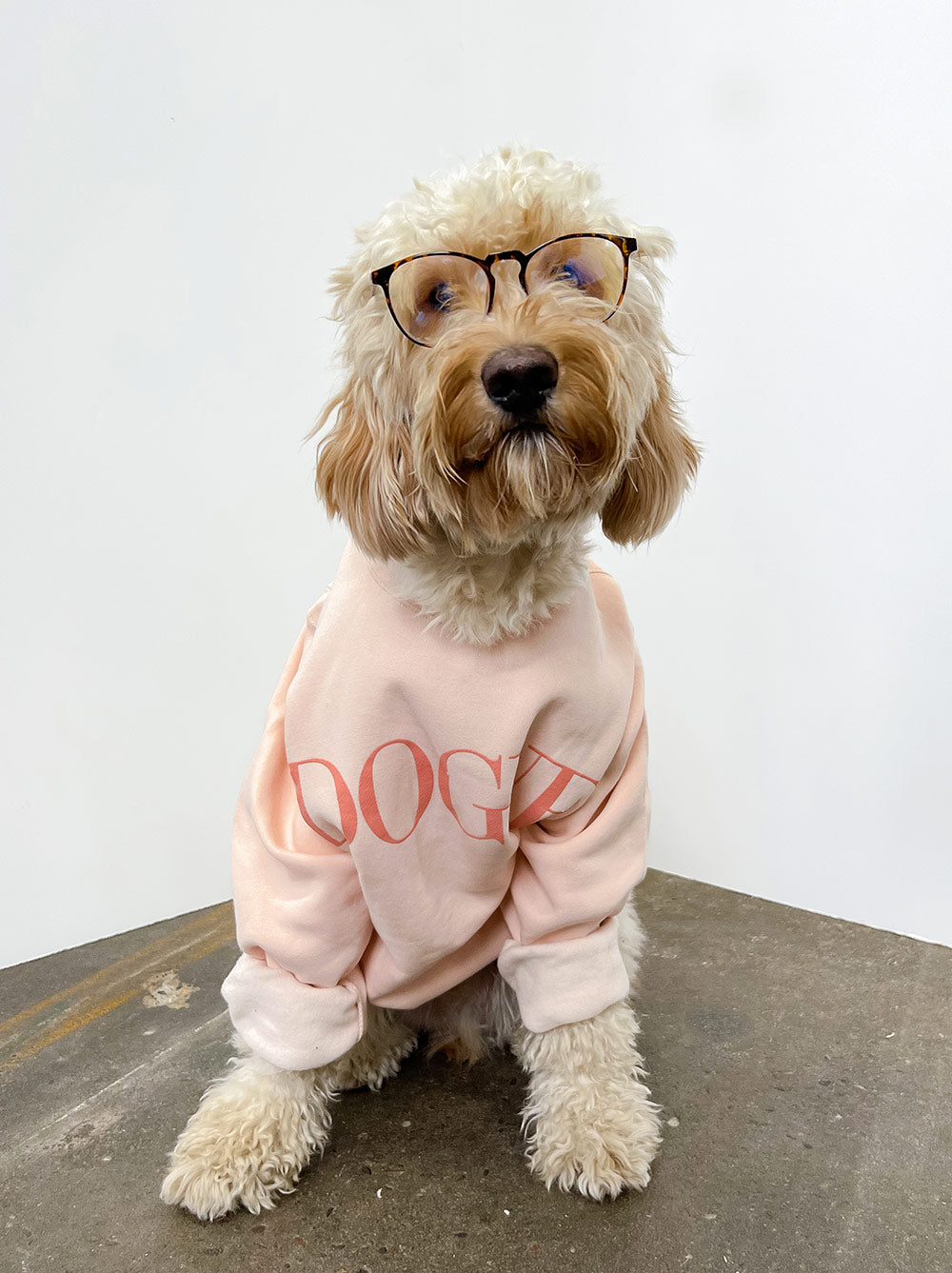 Dogue Crewneck