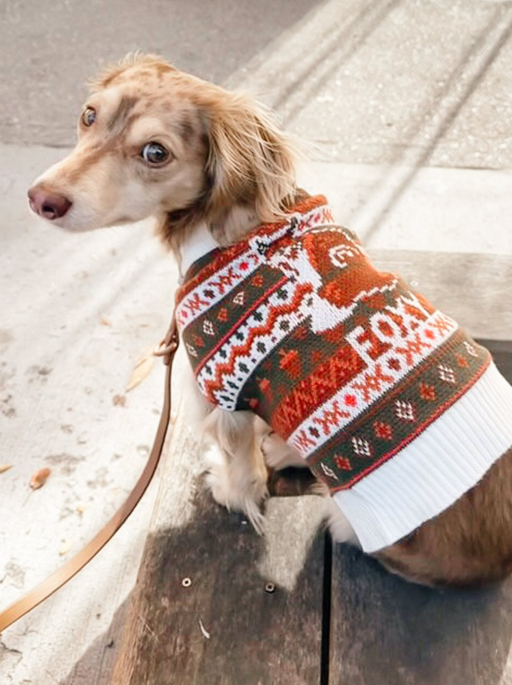Foxy Sweater - HT Animal Supply